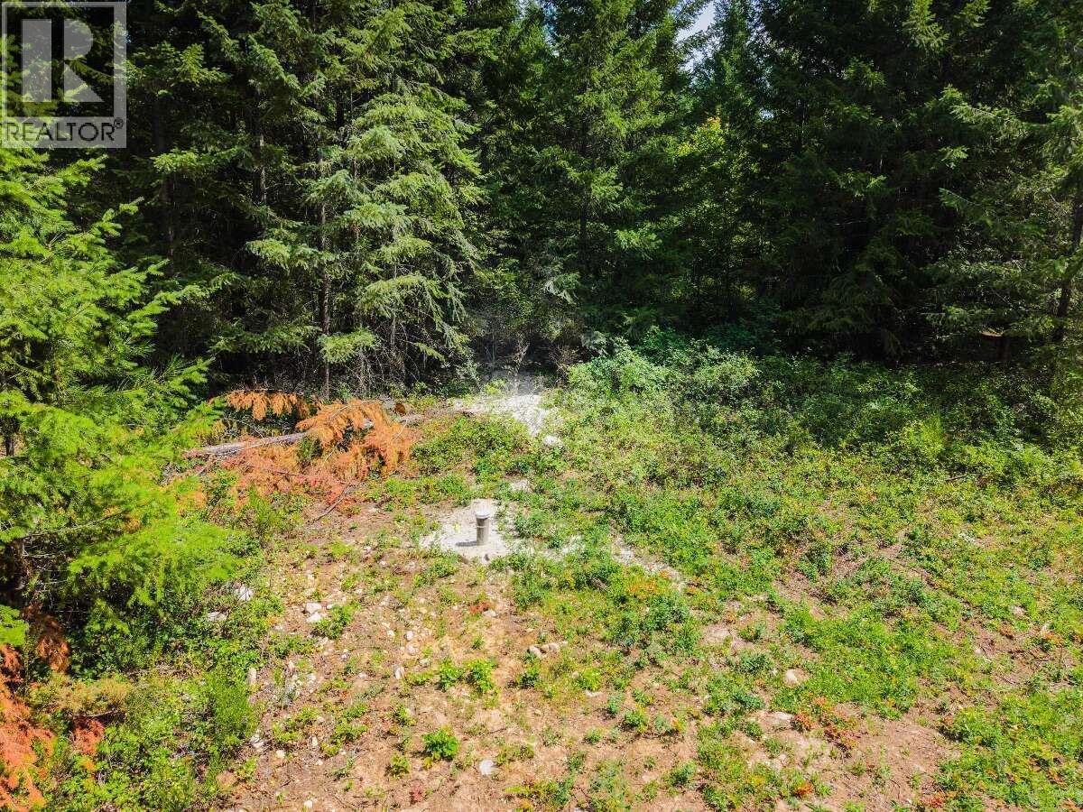 2842 Six Mile Lakes Road Lot# Lot 2, Nelson, British Columbia  V1L 6W3 - Photo 12 - 10398974