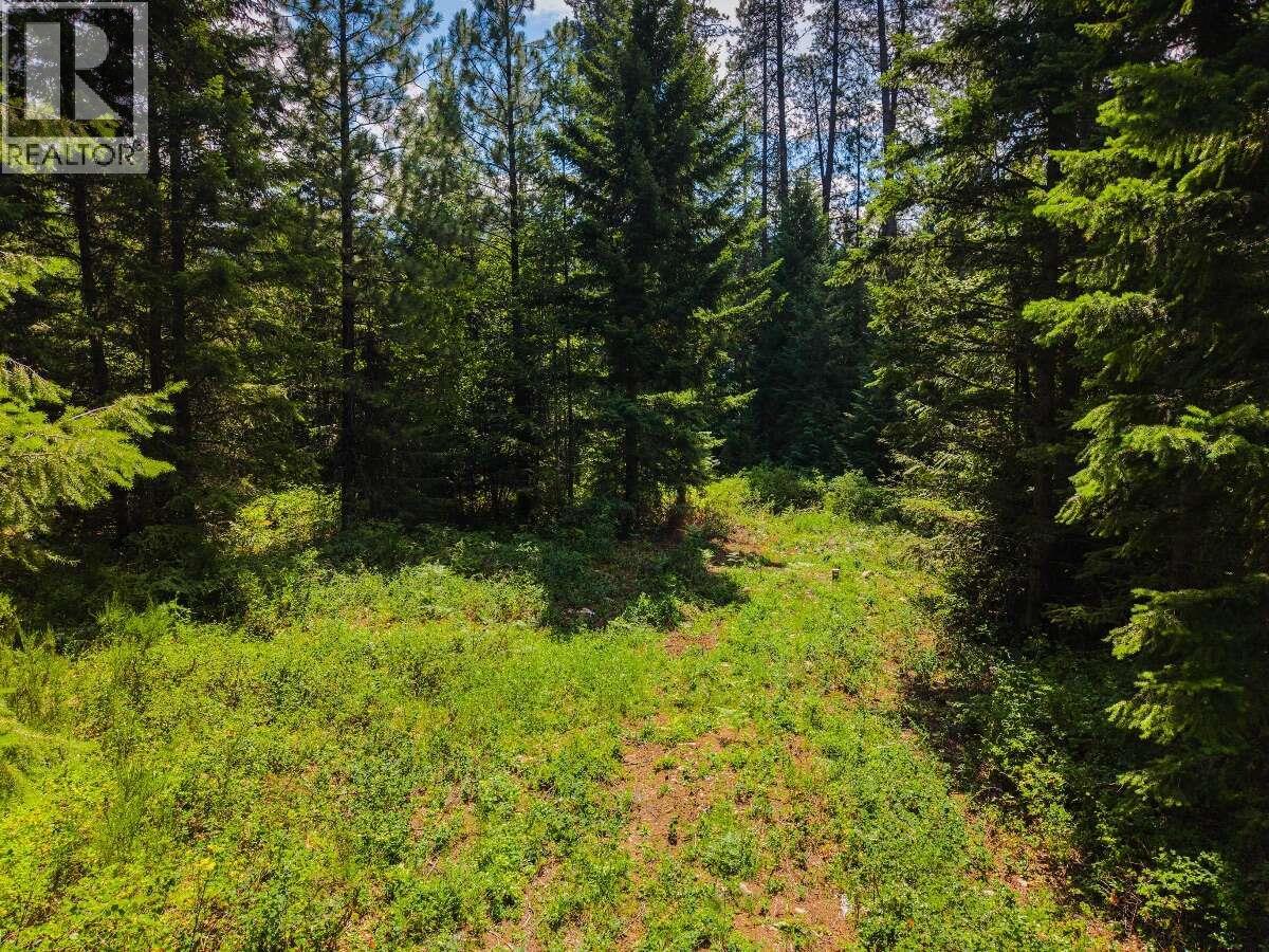 2842 Six Mile Lakes Road Lot# Lot 2, Nelson, British Columbia  V1L 6W3 - Photo 13 - 10398974