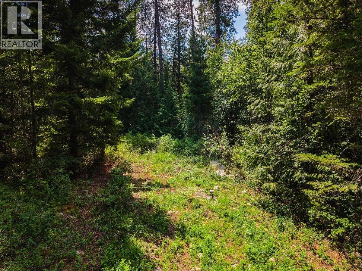 2842 Six Mile Lakes Road Lot# Lot 2, Nelson, British Columbia  V1L 6W3 - Photo 14 - 10398974