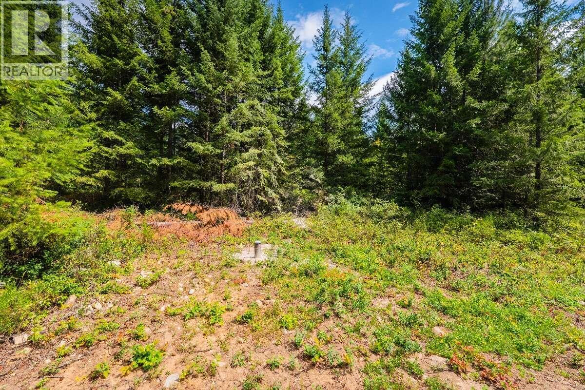 2842 Six Mile Lakes Road Lot# Lot 2, Nelson, British Columbia  V1L 6W3 - Photo 17 - 10398974