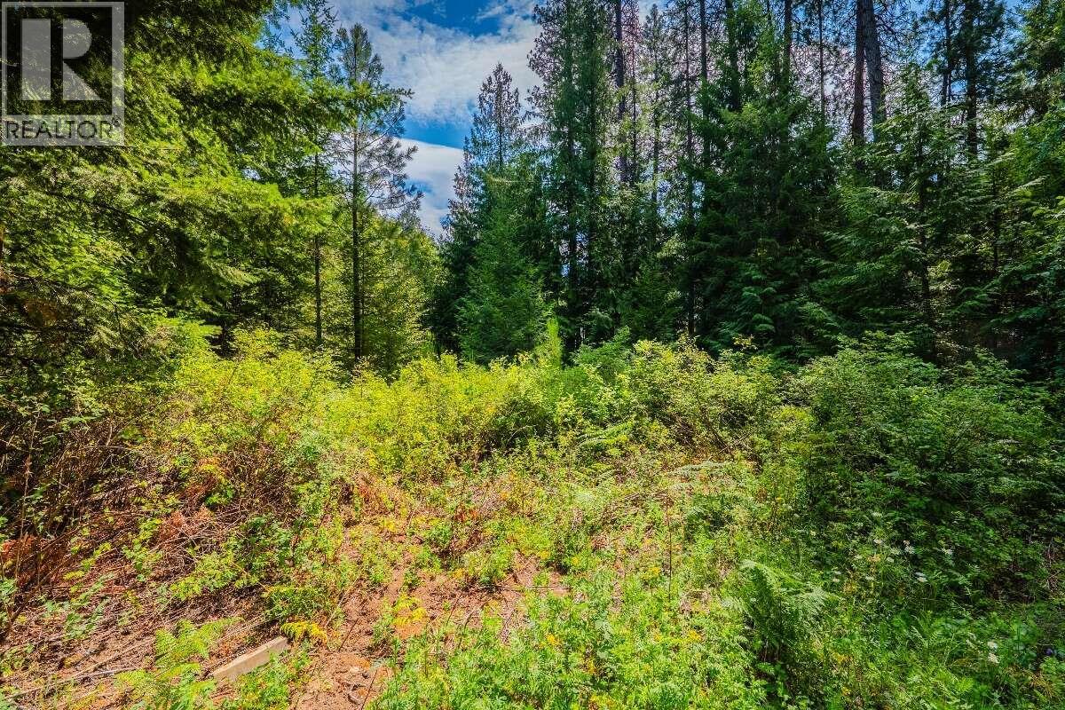 2842 Six Mile Lakes Road Lot# Lot 2, Nelson, British Columbia  V1L 6W3 - Photo 18 - 10398974