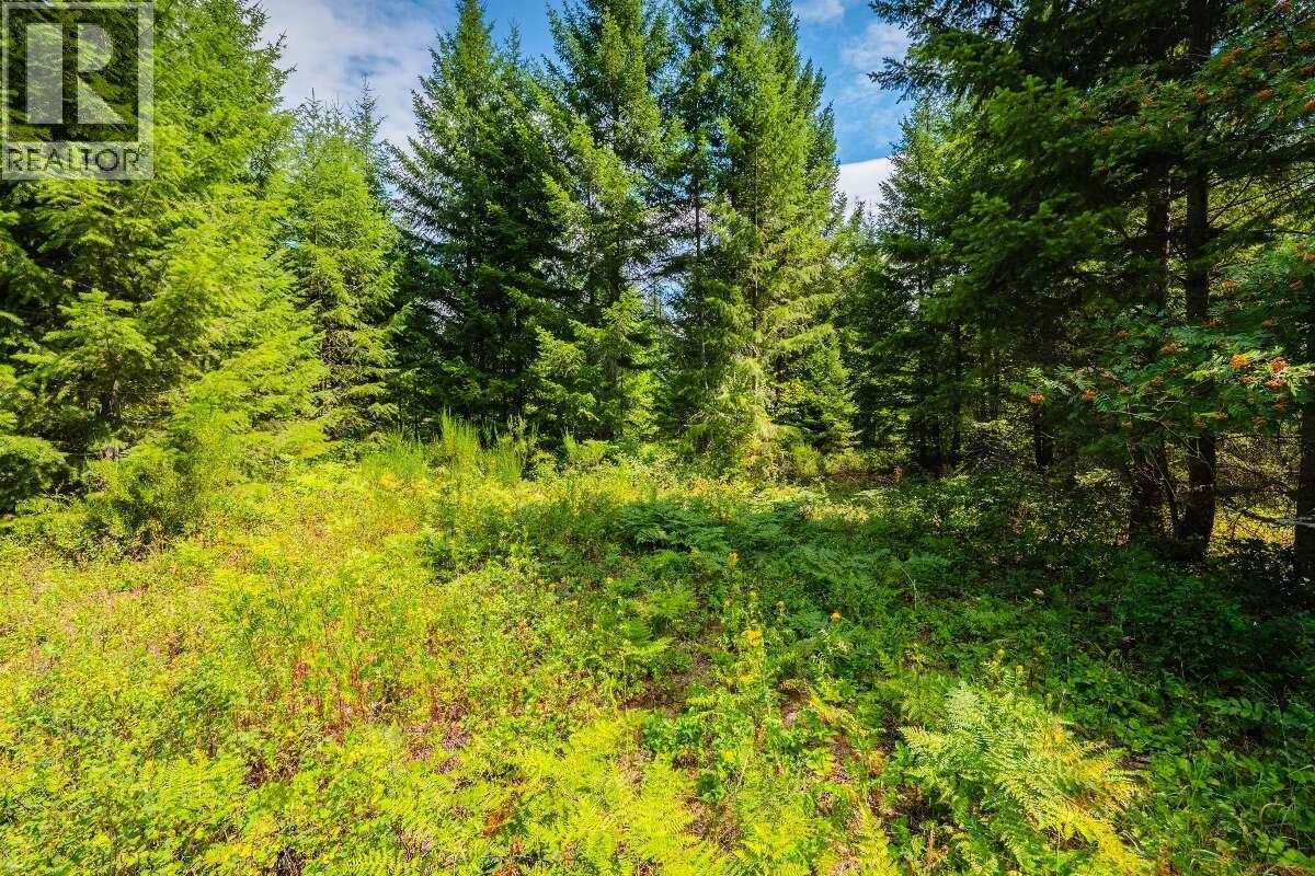 2842 Six Mile Lakes Road Lot# Lot 2, Nelson, British Columbia  V1L 6W3 - Photo 19 - 10398974