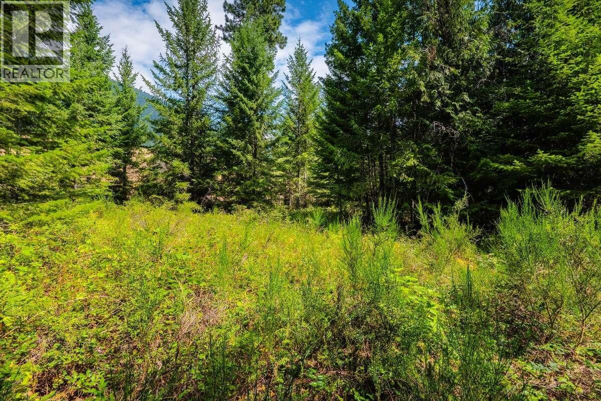 2842 Six Mile Lakes Road Lot# Lot 2, Nelson, British Columbia  V1L 6W3 - Photo 20 - 10398974