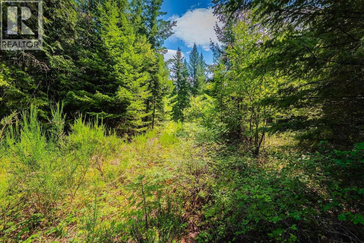 2842 Six Mile Lakes Road Lot# Lot 2, Nelson, British Columbia  V1L 6W3 - Photo 21 - 10398974