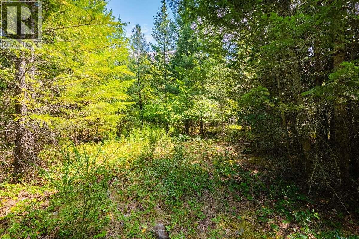 2842 Six Mile Lakes Road Lot# Lot 2, Nelson, British Columbia  V1L 6W3 - Photo 22 - 10398974