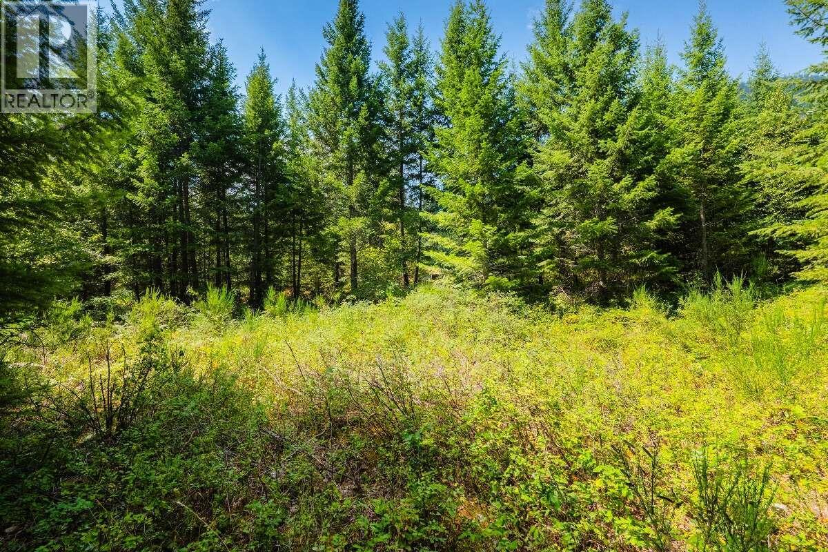 2842 Six Mile Lakes Road Lot# Lot 2, Nelson, British Columbia  V1L 6W3 - Photo 23 - 10398974