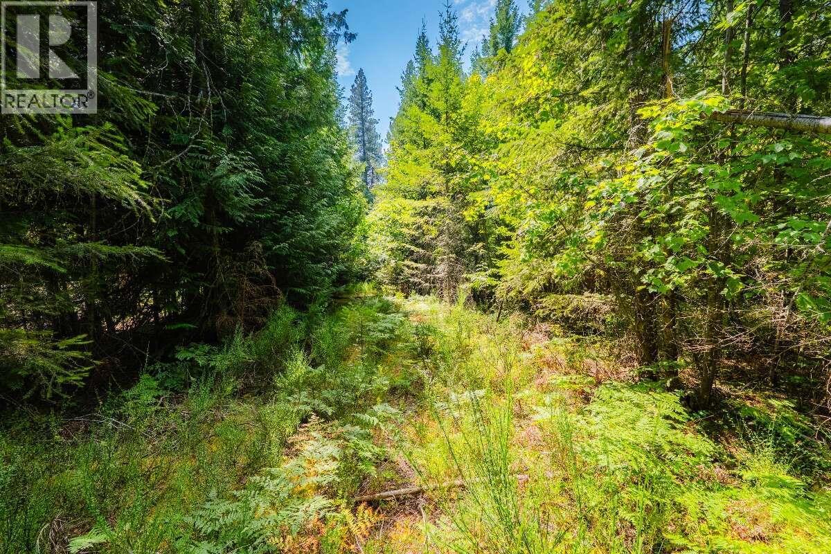 2842 Six Mile Lakes Road Lot# Lot 2, Nelson, British Columbia  V1L 6W3 - Photo 24 - 10398974