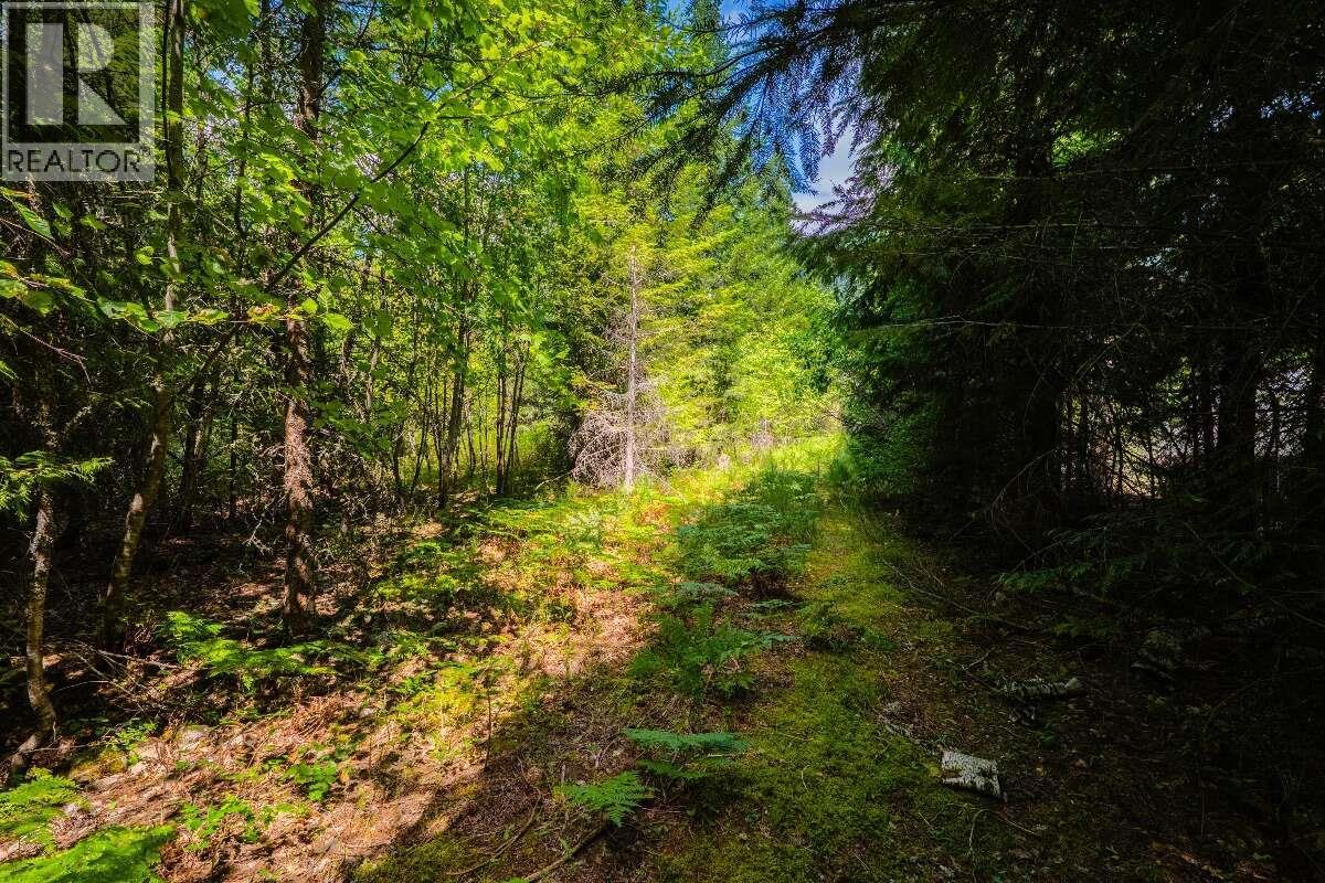 2842 Six Mile Lakes Road Lot# Lot 2, Nelson, British Columbia  V1L 6W3 - Photo 25 - 10398974