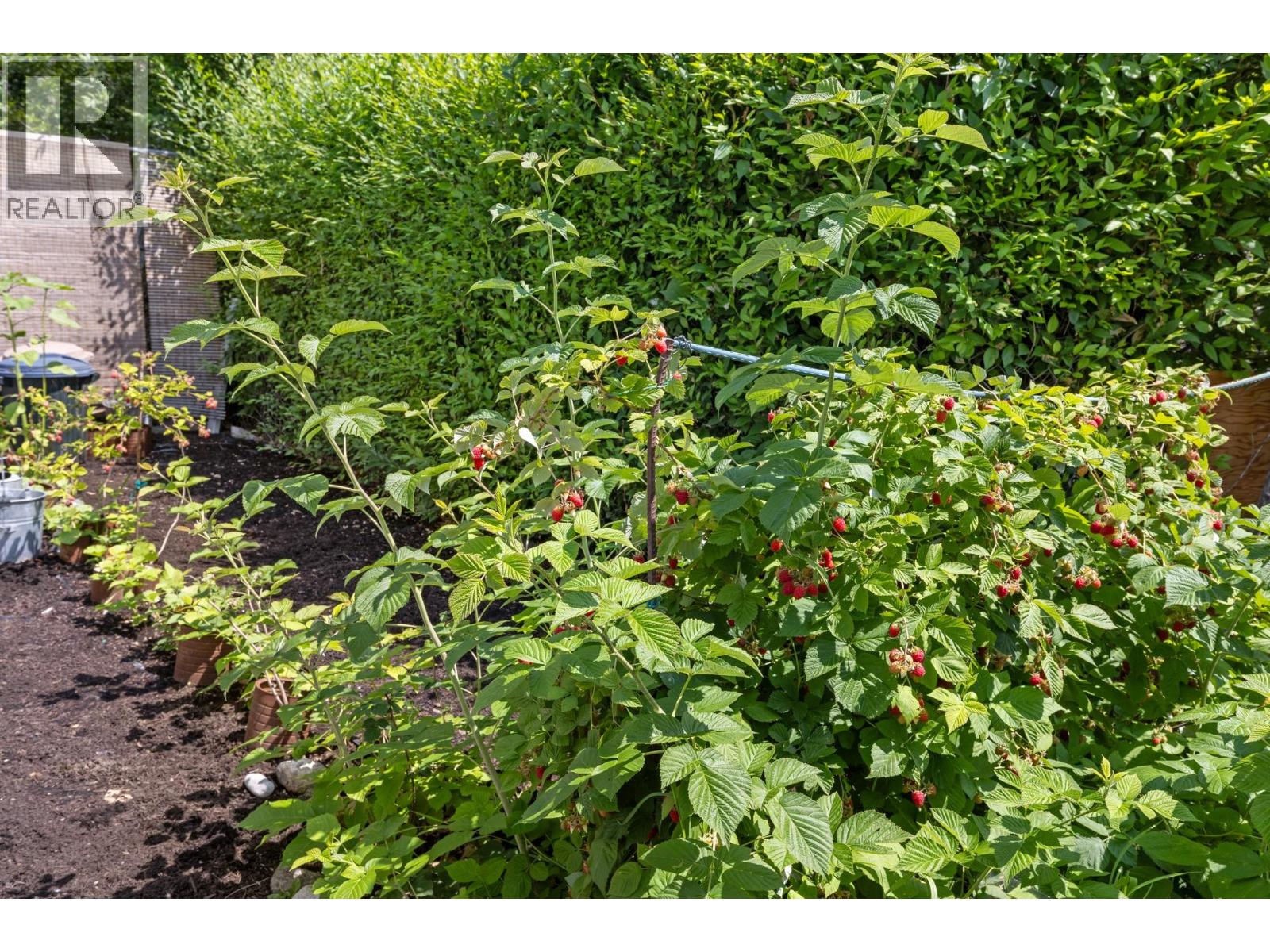 987 Garland Street, Kelowna, British Columbia  V1Y 3M9 - Photo 40 - 10398772
