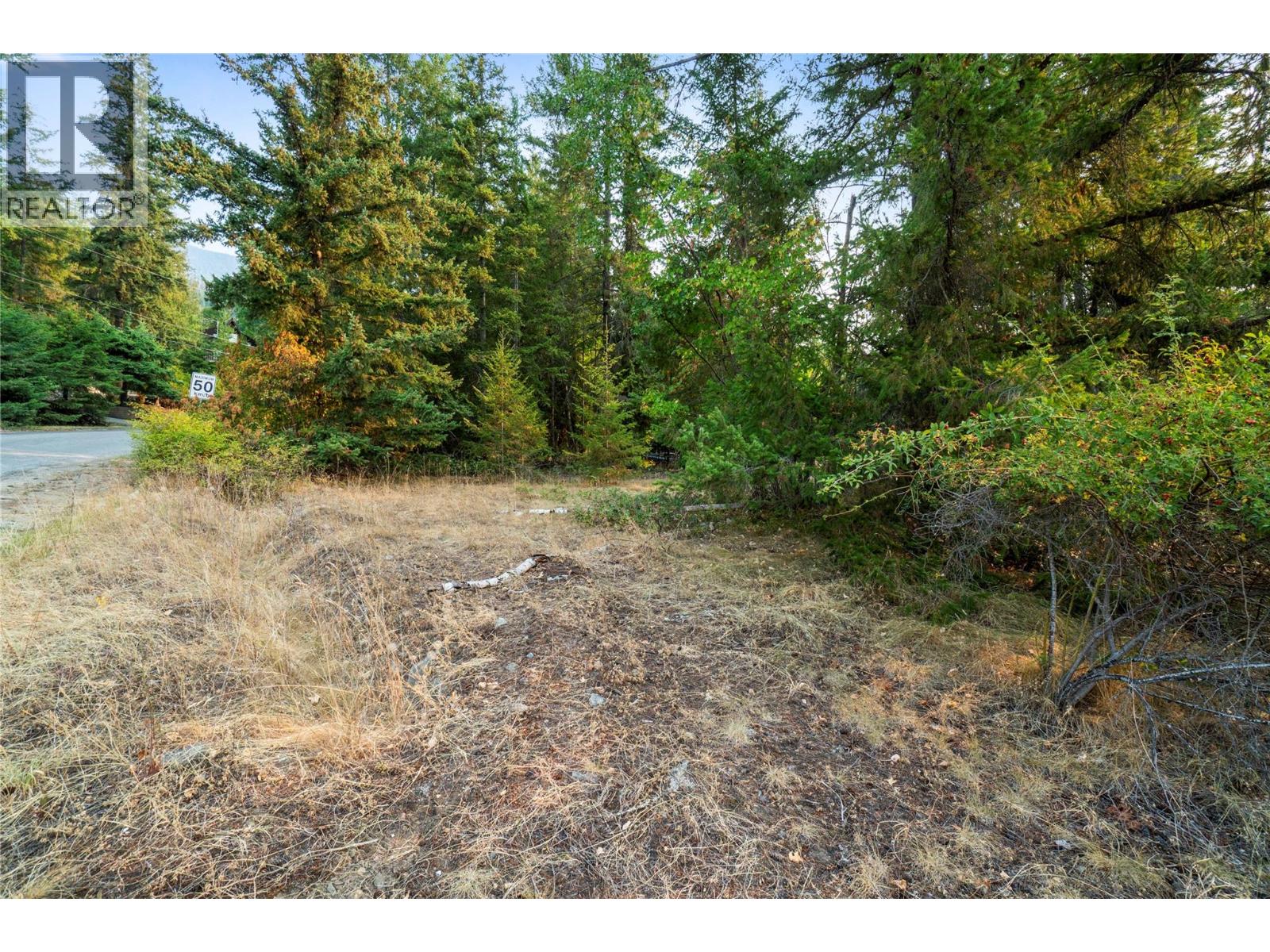 7690 Squilax-Anglemont Road, Anglemont, British Columbia  V0E 1M8 - Photo 10 - 10399018