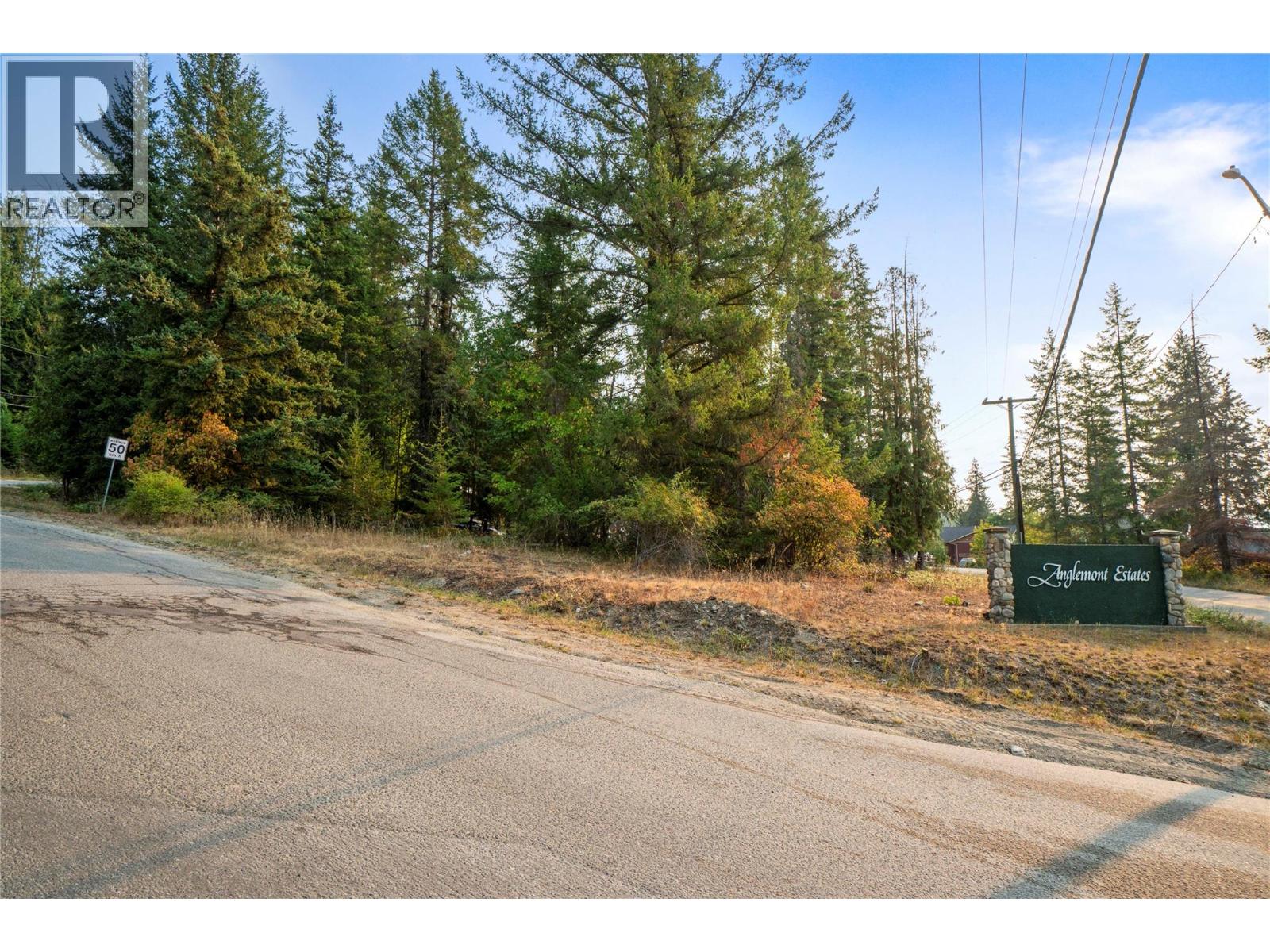 7690 Squilax-Anglemont Road, Anglemont, British Columbia  V0E 1M8 - Photo 11 - 10399018
