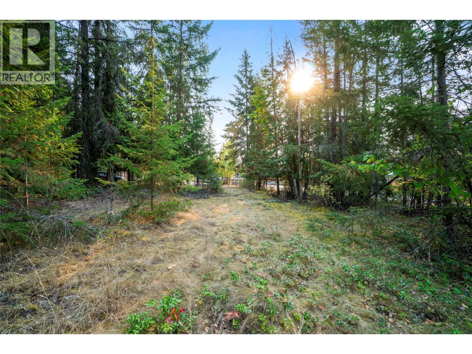 7690 Squilax-Anglemont Road, Anglemont, British Columbia  V0E 1M8 - Photo 9 - 10399018