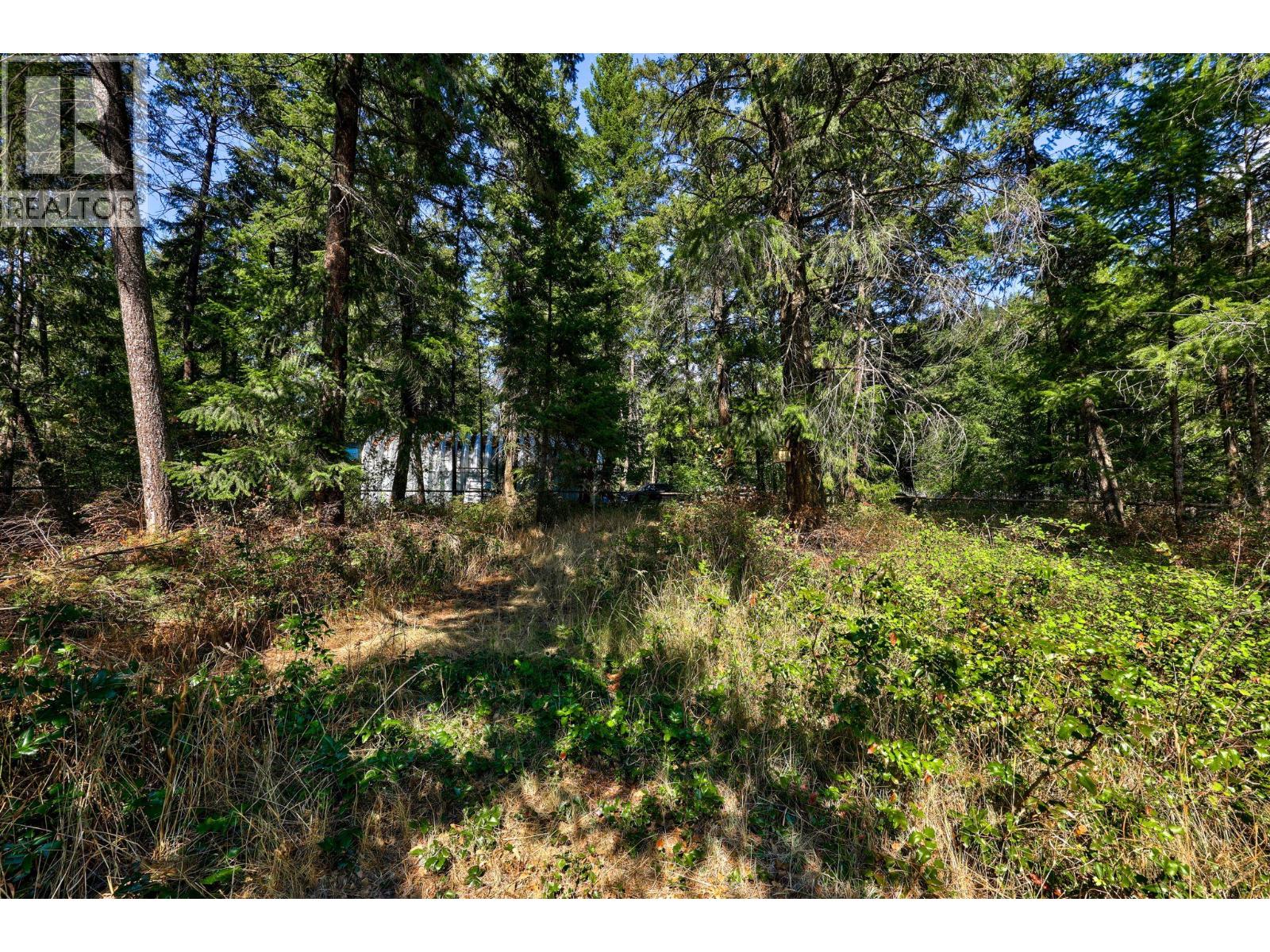 4264 Dunsmuir Road, Barriere, British Columbia  V0E 1E0 - Photo 30 - 10399052