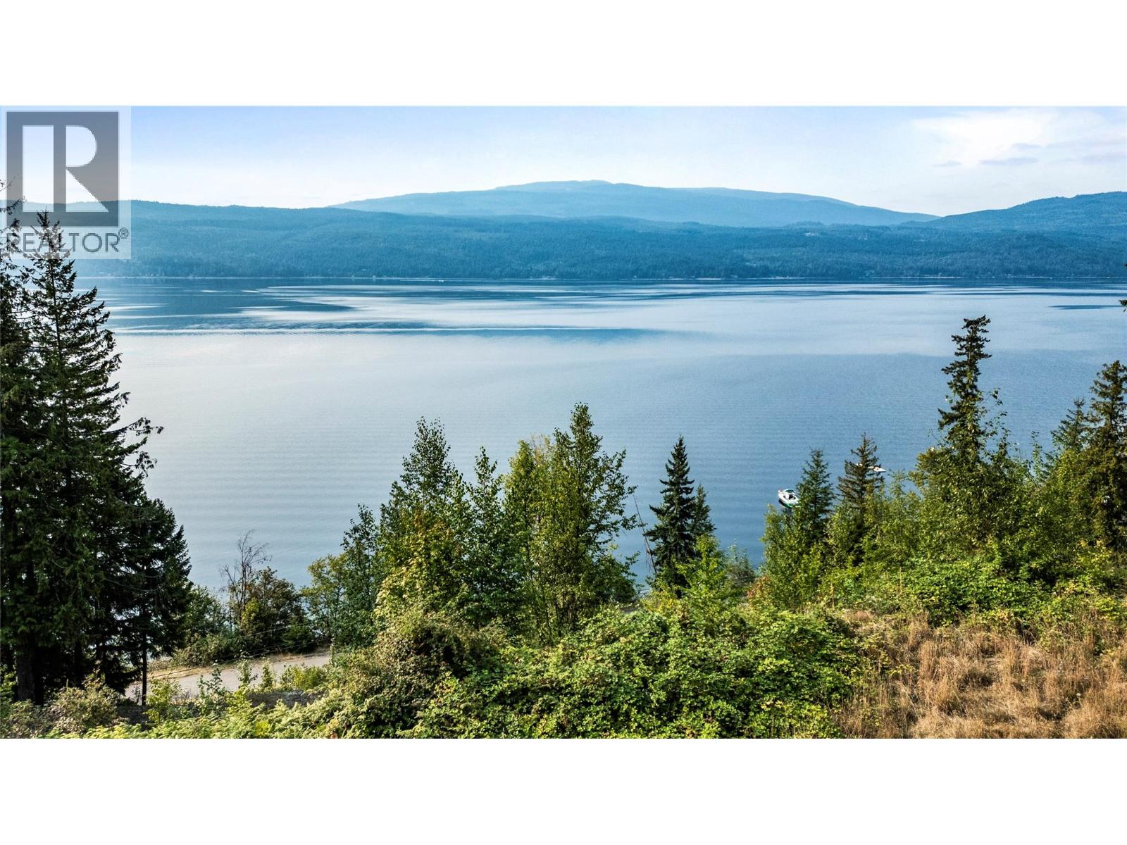 8021 Squilax-Anglemont Road, Anglemont, British Columbia  V0E 1M8 - Photo 1 - 10399023