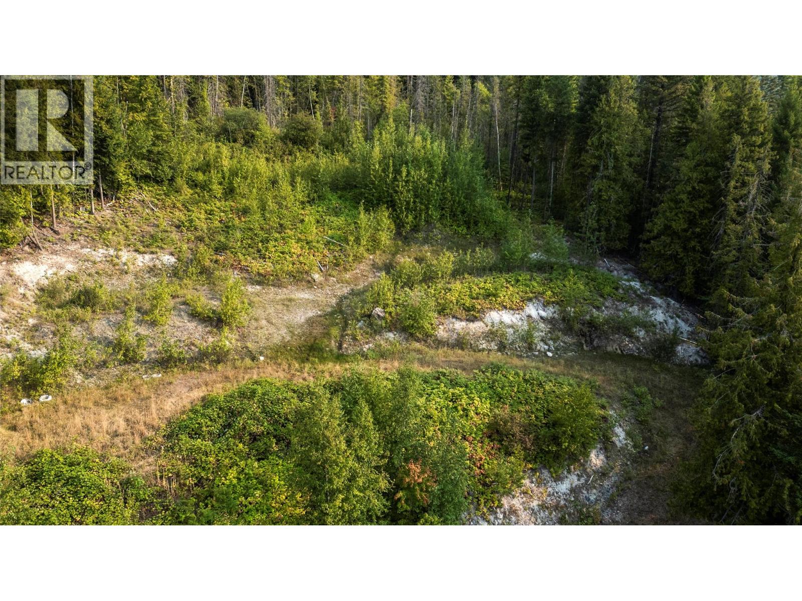 8021 Squilax-Anglemont Road, Anglemont, British Columbia  V0E 1M8 - Photo 6 - 10399023