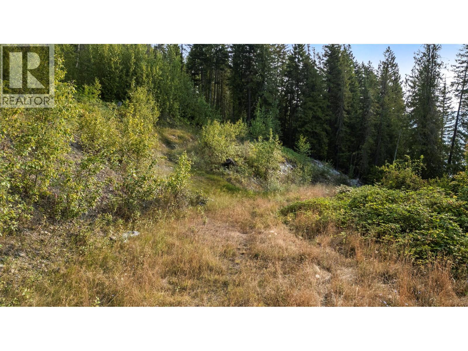 8021 Squilax-Anglemont Road, Anglemont, British Columbia  V0E 1M8 - Photo 8 - 10399023