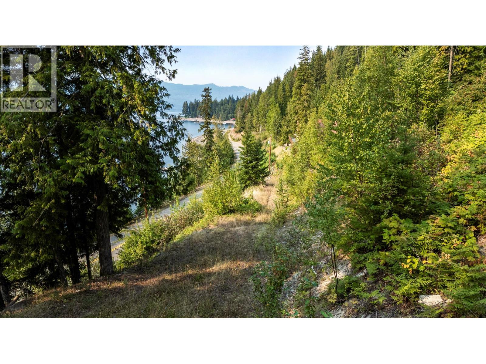 8021 Squilax-Anglemont Road, Anglemont, British Columbia  V0E 1M8 - Photo 9 - 10399023