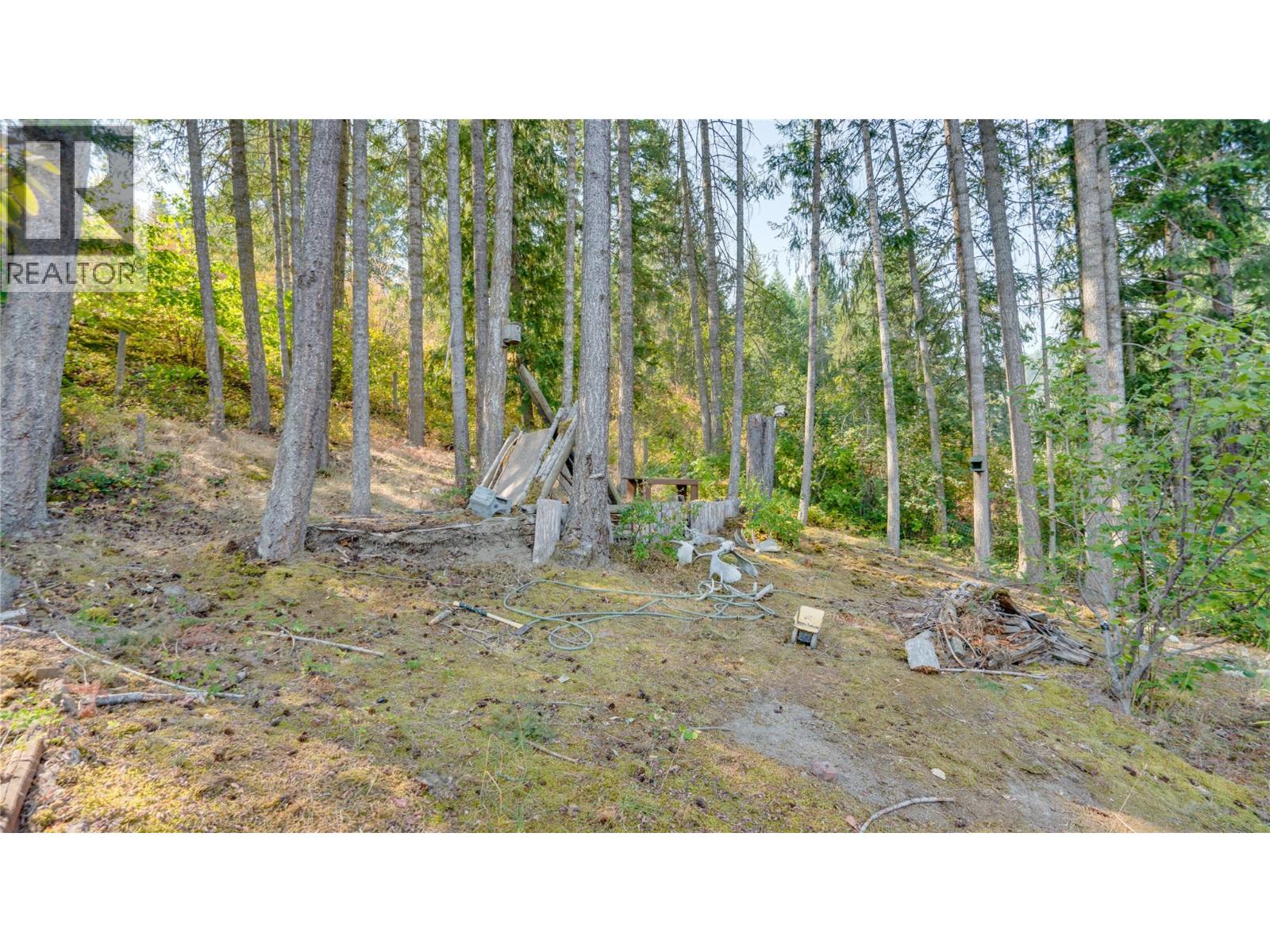 29 Preston Crescent, Enderby, British Columbia  V4Y 4C5 - Photo 52 - 10398972