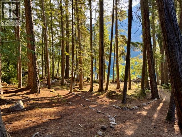 Lot 2 Slocan Lake Boat Access, Slocan, British Columbia  V0G 2C0 - Photo 28 - 10399013
