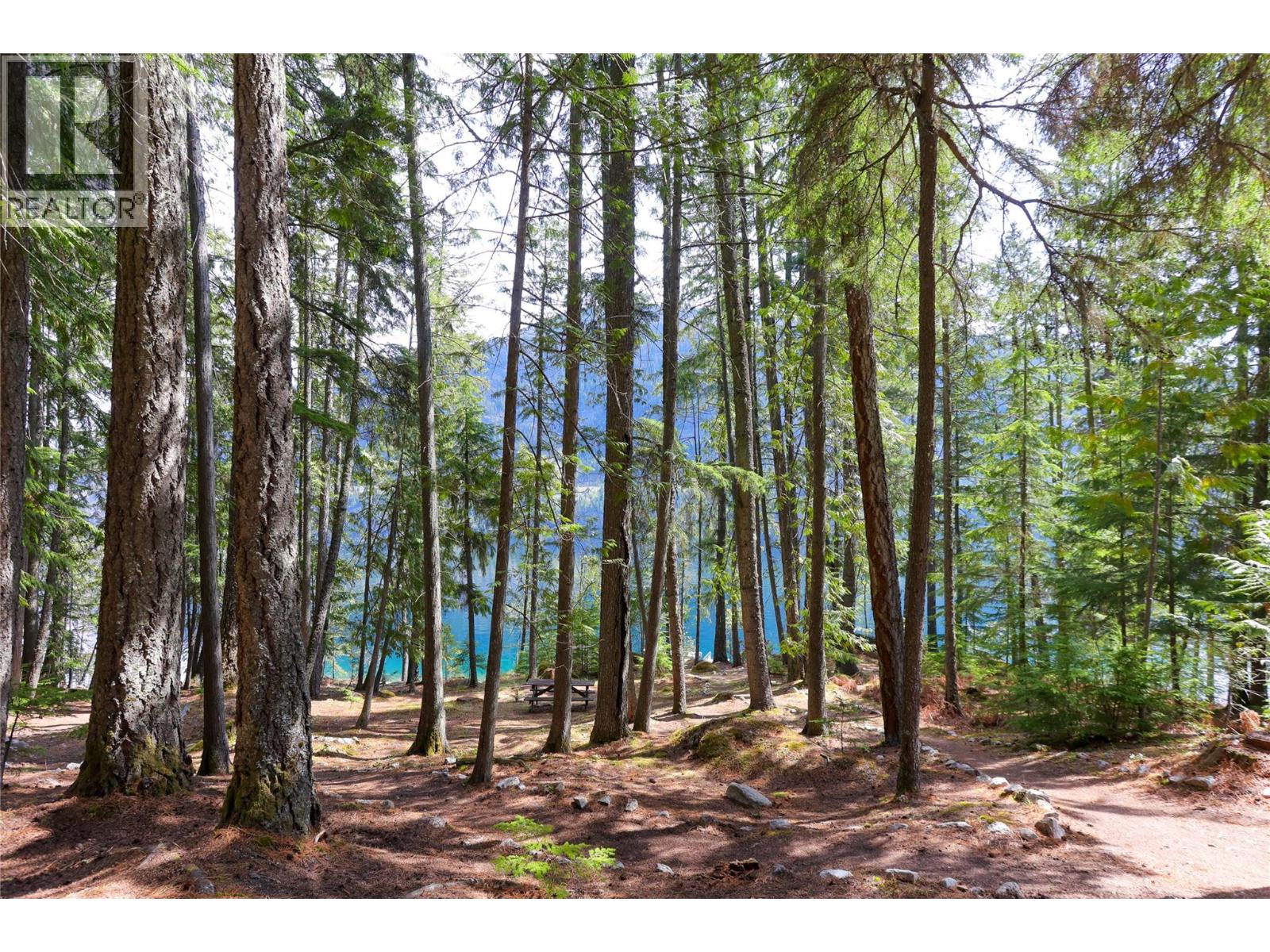 Lot 2 Slocan Lake Boat Access, Slocan, British Columbia  V0G 2C0 - Photo 29 - 10399013