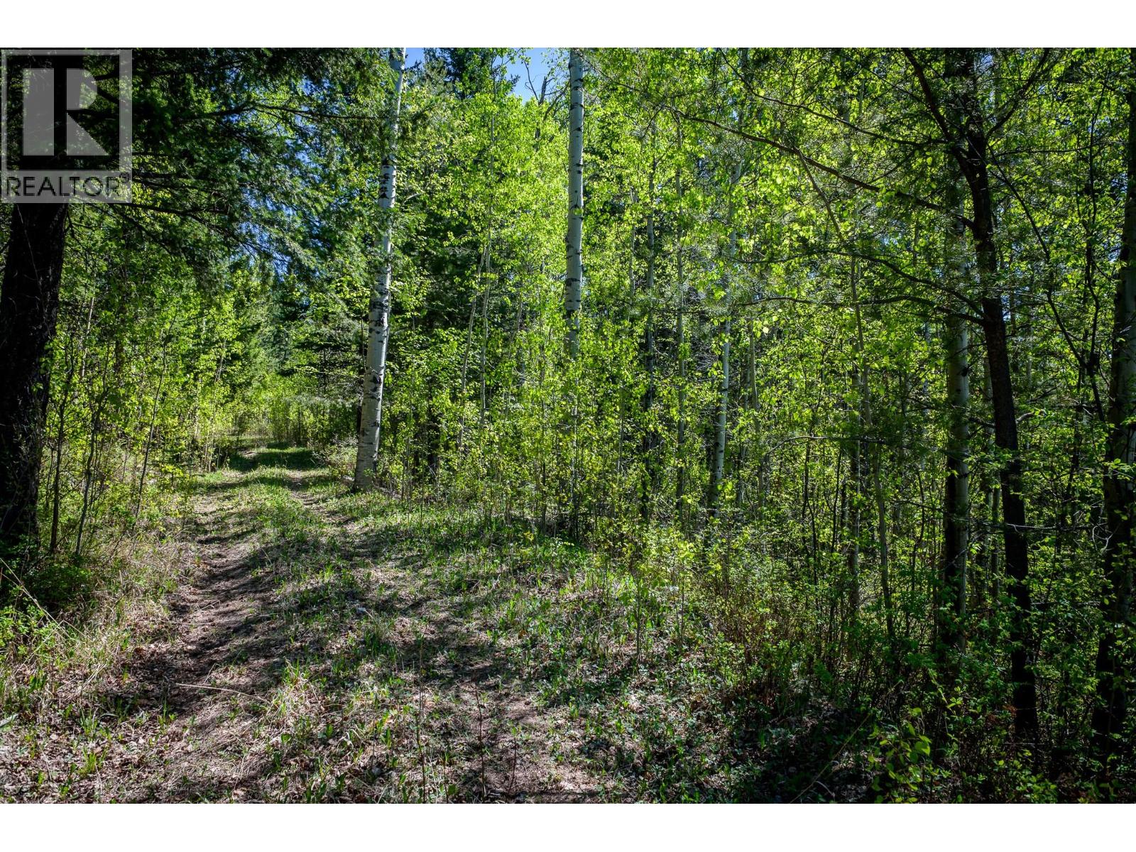 2780 Silver Birch Lane, Pritchard, British Columbia  V0E 0A1 - Photo 4 - 10399141