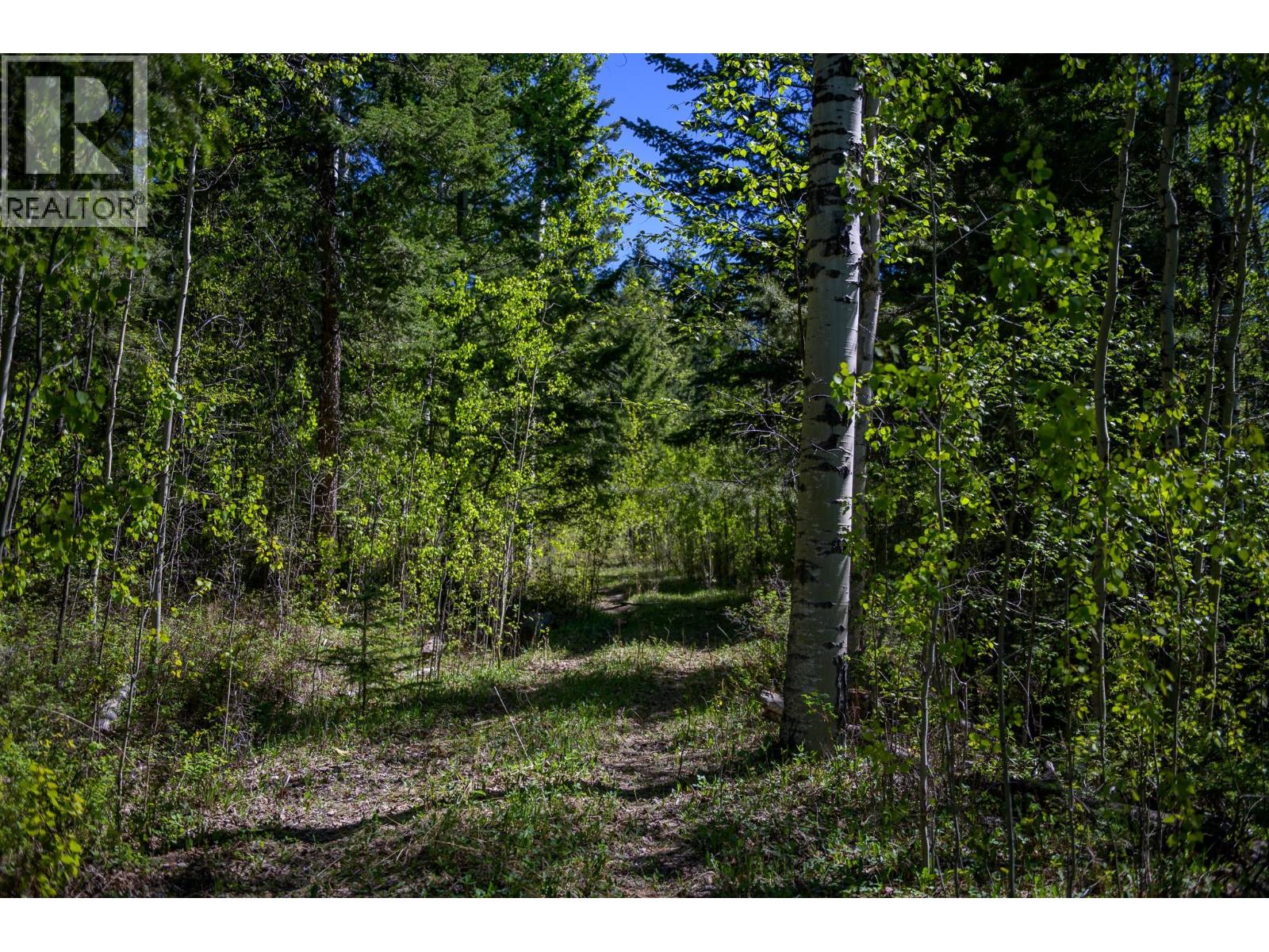 2780 Silver Birch Lane, Pritchard, British Columbia  V0E 0A1 - Photo 5 - 10399141