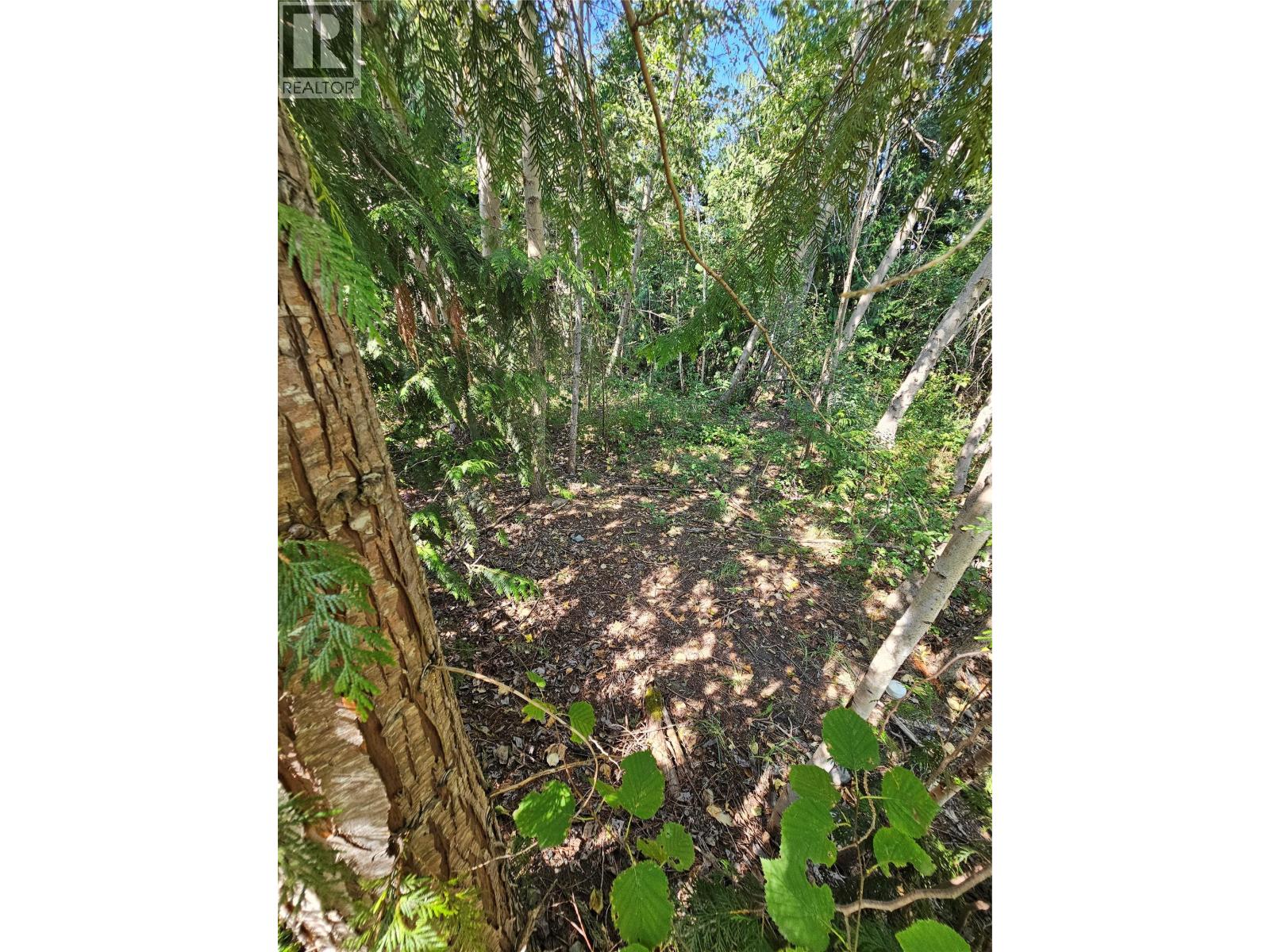Lot 57 Ridgeview Place Lot# 57, Blind Bay, British Columbia  V0E 1H2 - Photo 3 - 10399158