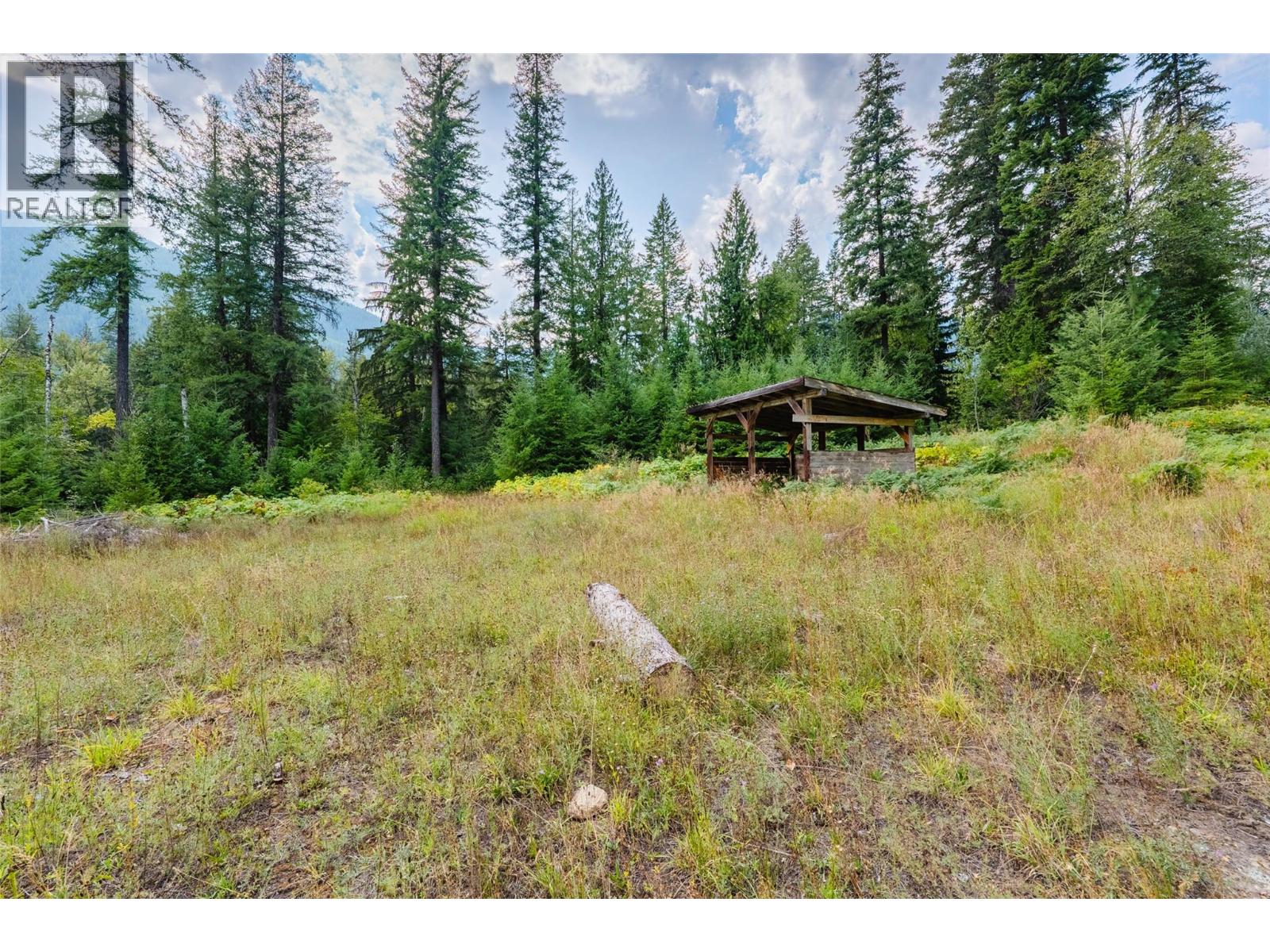 3360 Little Slocan South Road, Passmore, British Columbia  V0G 2J0 - Photo 43 - 10399015