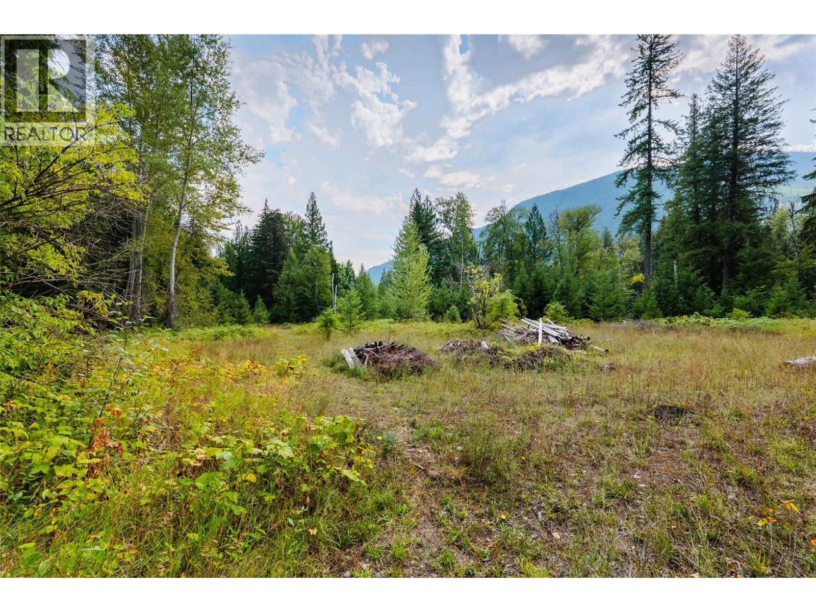 3360 Little Slocan South Road, Passmore, British Columbia  V0G 2J0 - Photo 45 - 10399015