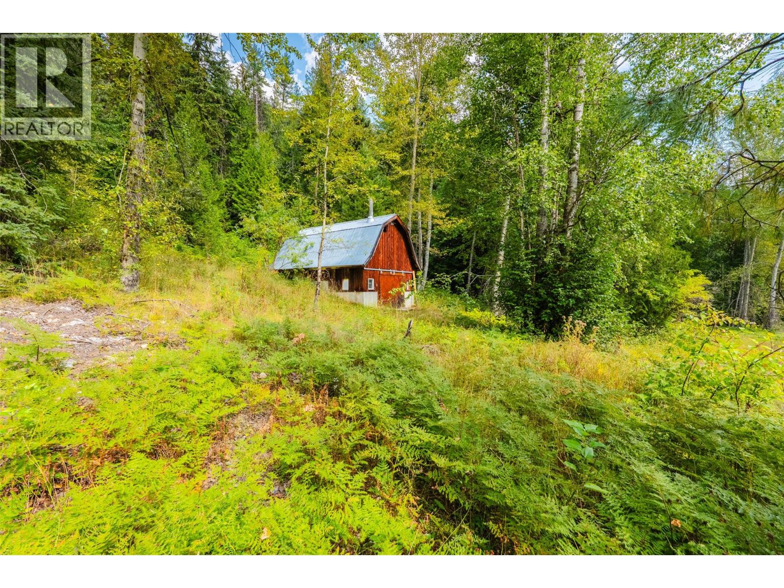 3360 Little Slocan South Road, Passmore, British Columbia  V0G 2J0 - Photo 46 - 10399015