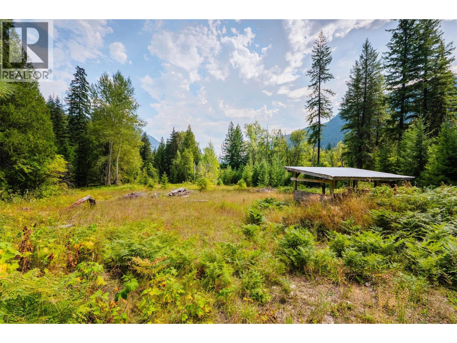 3360 Little Slocan South Road, Passmore, British Columbia  V0G 2J0 - Photo 47 - 10399015