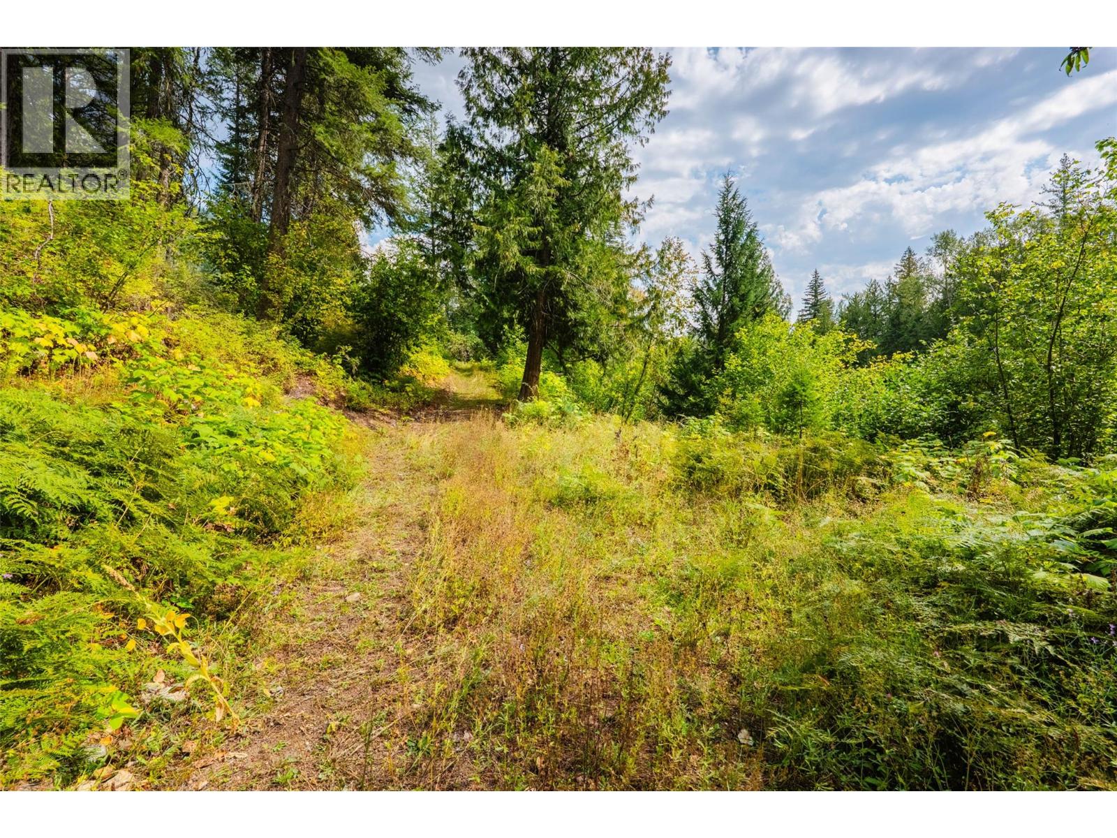 3360 Little Slocan South Road, Passmore, British Columbia  V0G 2J0 - Photo 59 - 10399015