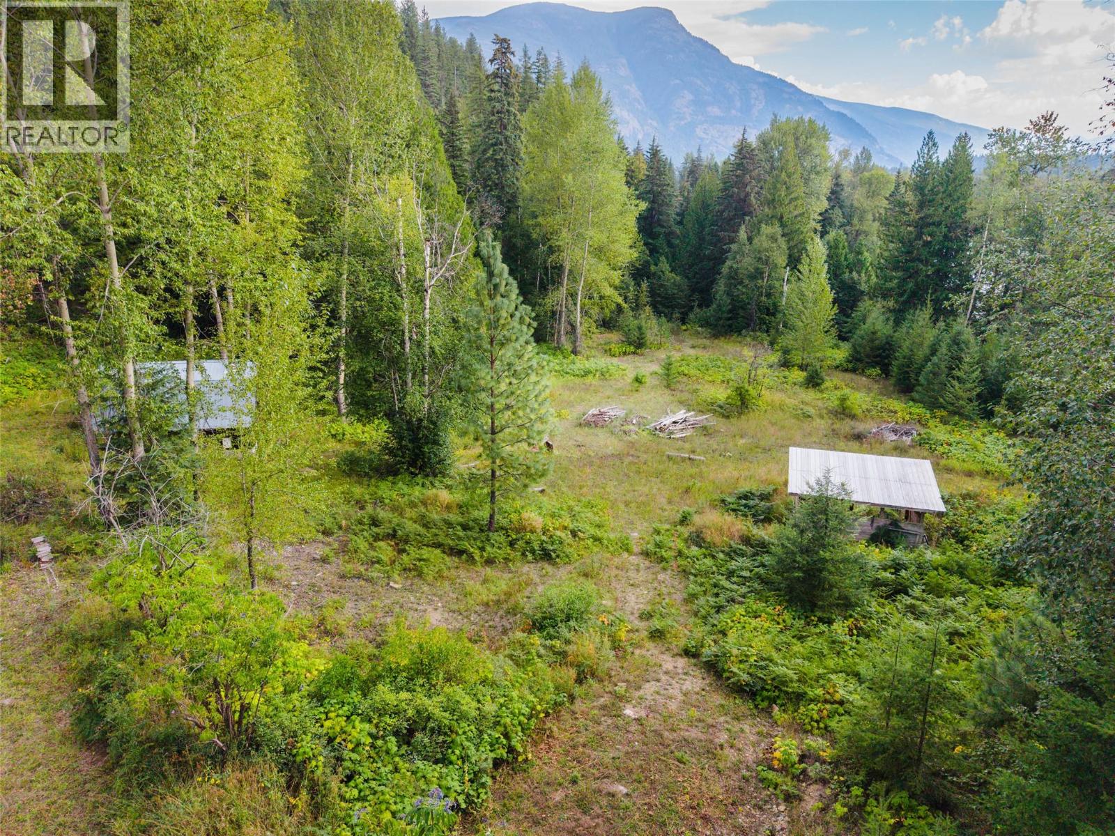 3360 Little Slocan South Road, Passmore, British Columbia  V0G 2J0 - Photo 93 - 10399015