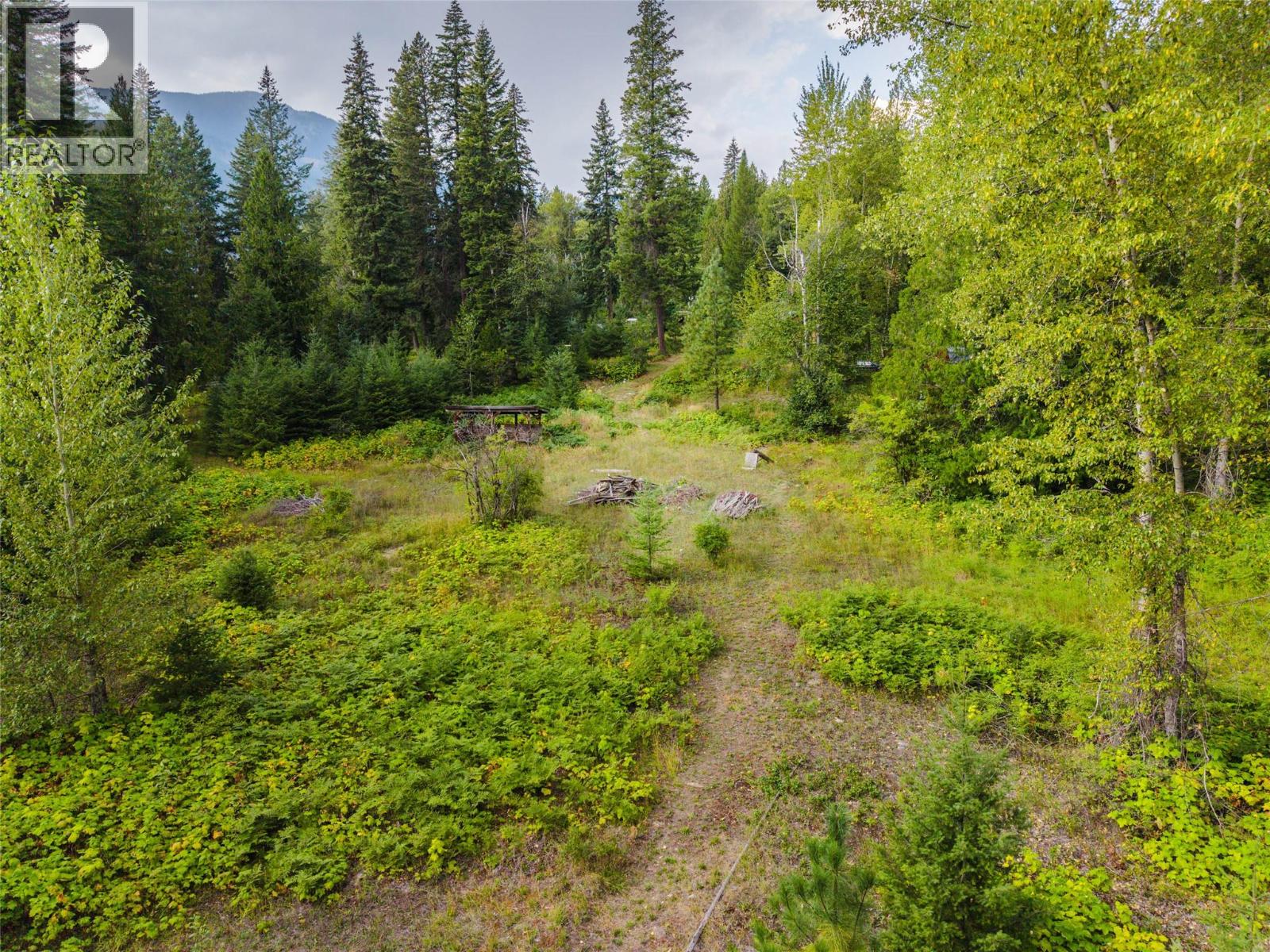3360 Little Slocan South Road, Passmore, British Columbia  V0G 2J0 - Photo 95 - 10399015