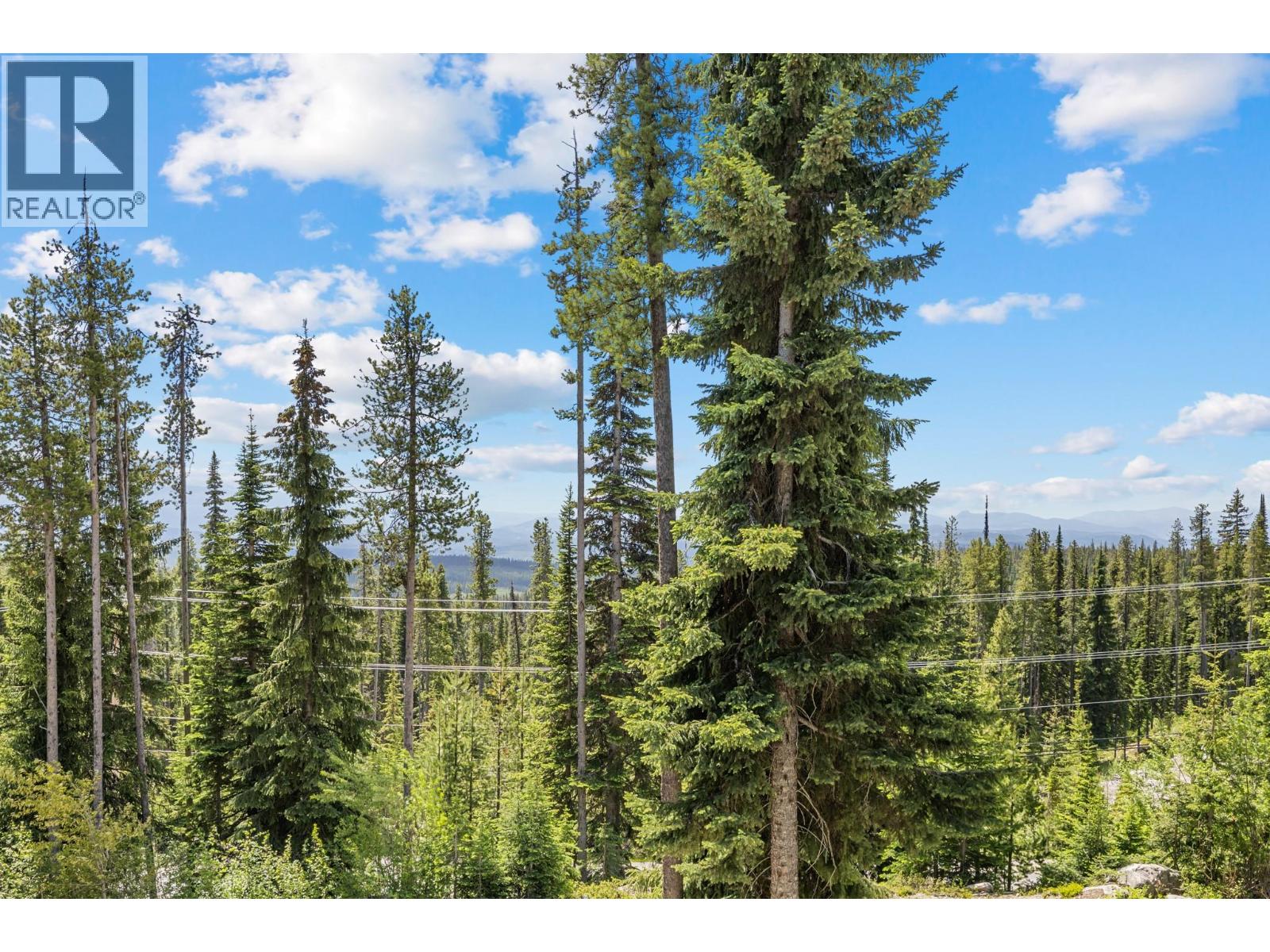 4879a Snowpines Road, Big White, British Columbia  V1P 1P3 - Photo 14 - 10398428