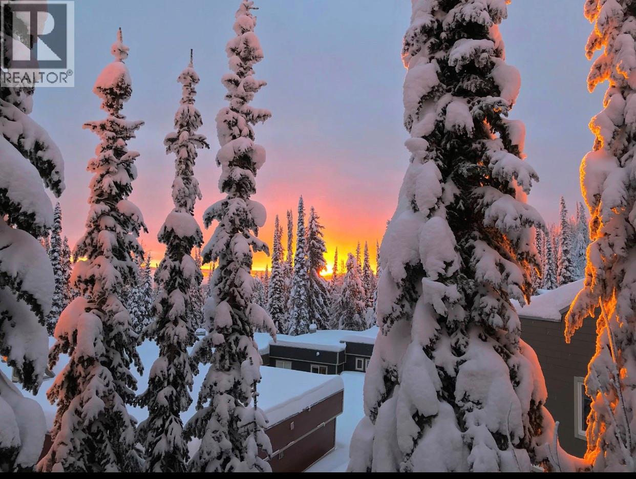 7485 Porcupine Road Unit# 1 And 2, Big White, British Columbia  V1P 1P3 - Photo 45 - 10398860