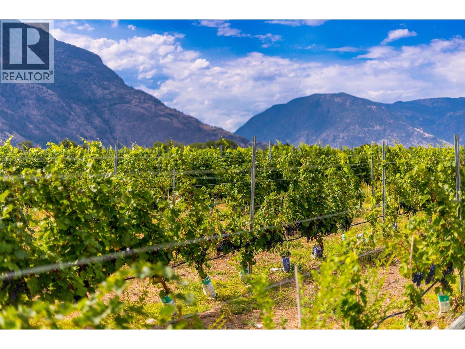 2025 Surprise Drive, Cawston, British Columbia  V0X 1C2 - Photo 11 - 10399008