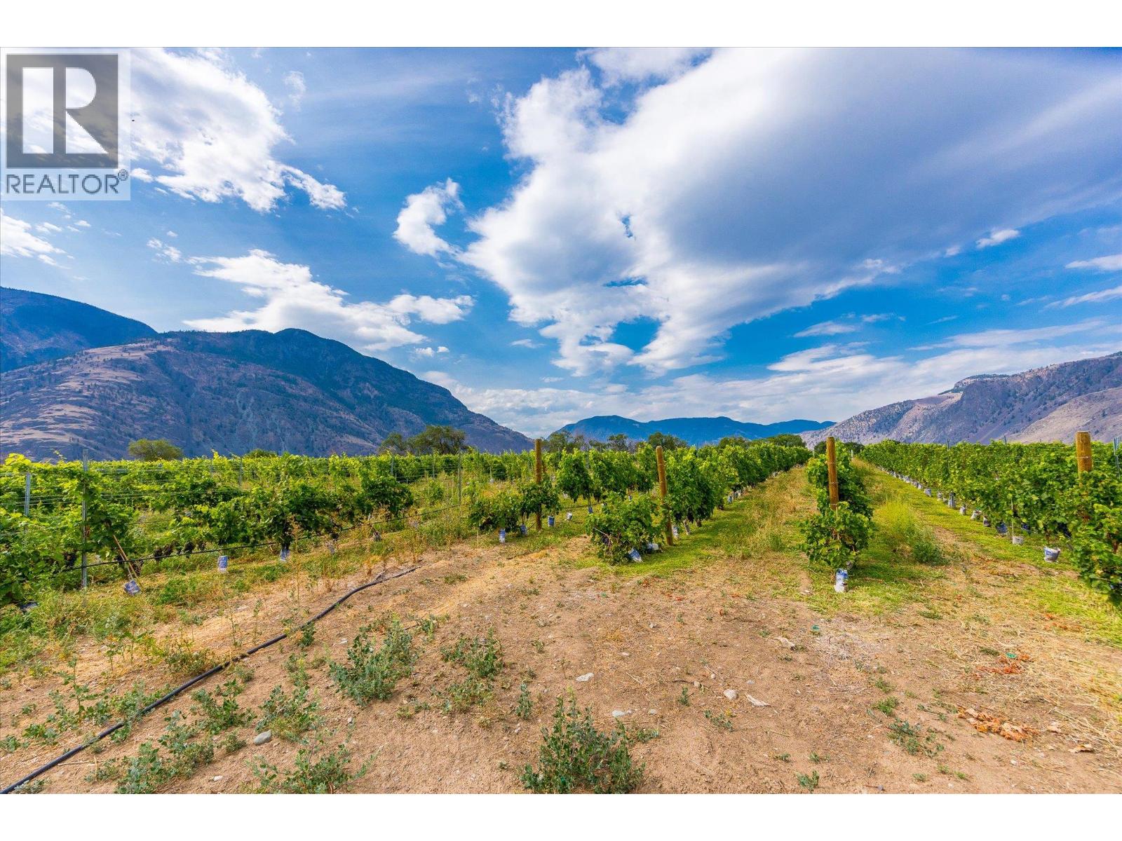 2025 Surprise Drive, Cawston, British Columbia  V0X 1C2 - Photo 7 - 10399008