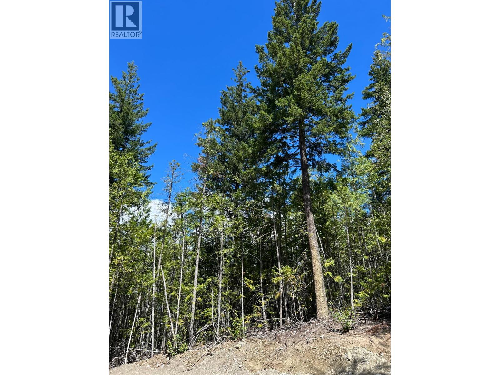 3560 Eagle Bay Road, Blind Bay, British Columbia  V0E 1H1 - Photo 1 - 10398978