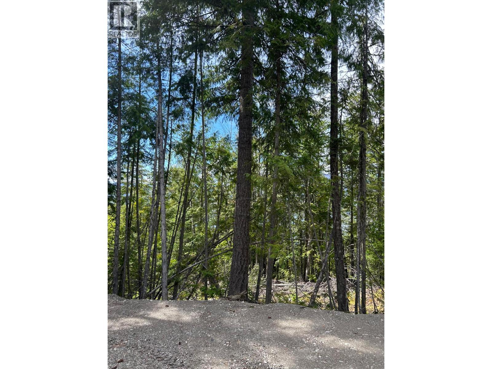 3560 Eagle Bay Road, Blind Bay, British Columbia  V0E 1H1 - Photo 2 - 10398978