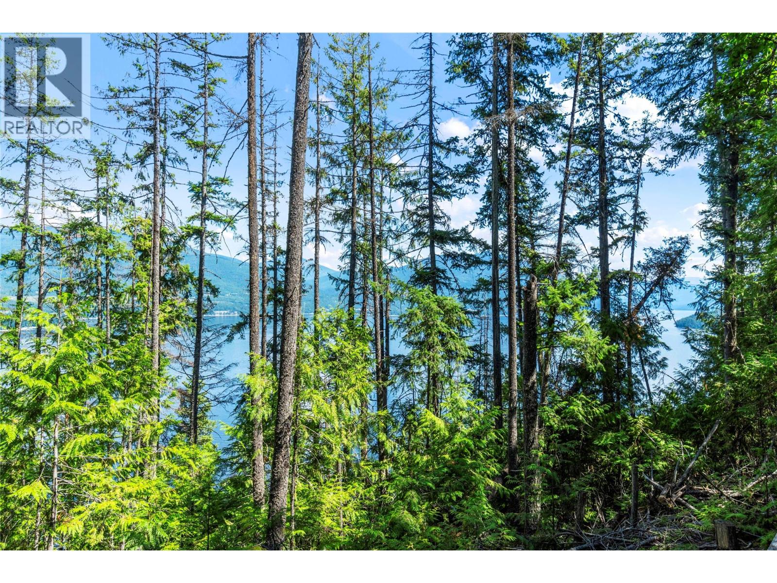 3560 Eagle Bay Road, Blind Bay, British Columbia  V0E 1H1 - Photo 39 - 10398978