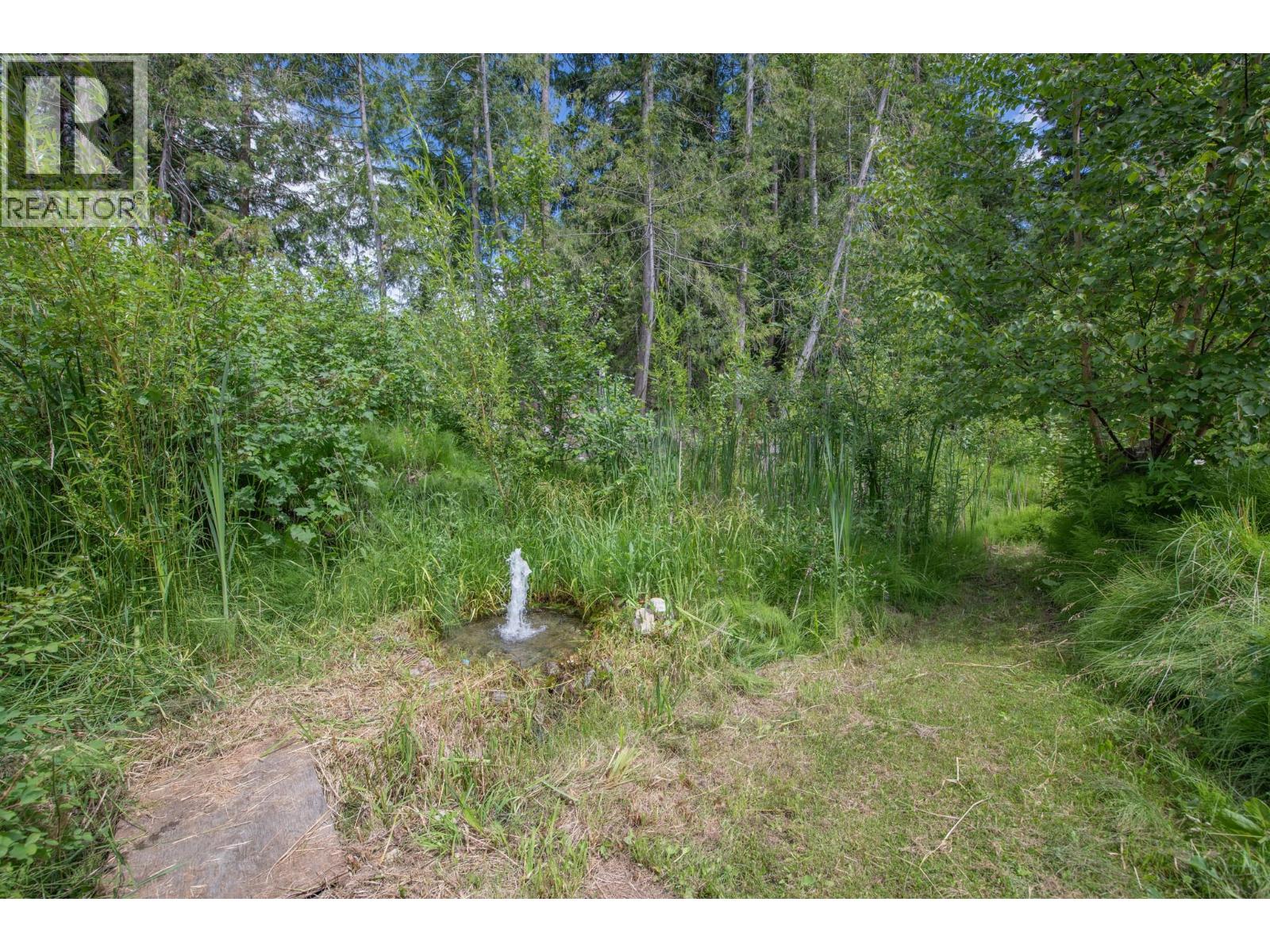 40 Rosoman Road, Enderby, British Columbia  V4Y 4K4 - Photo 63 - 10399439