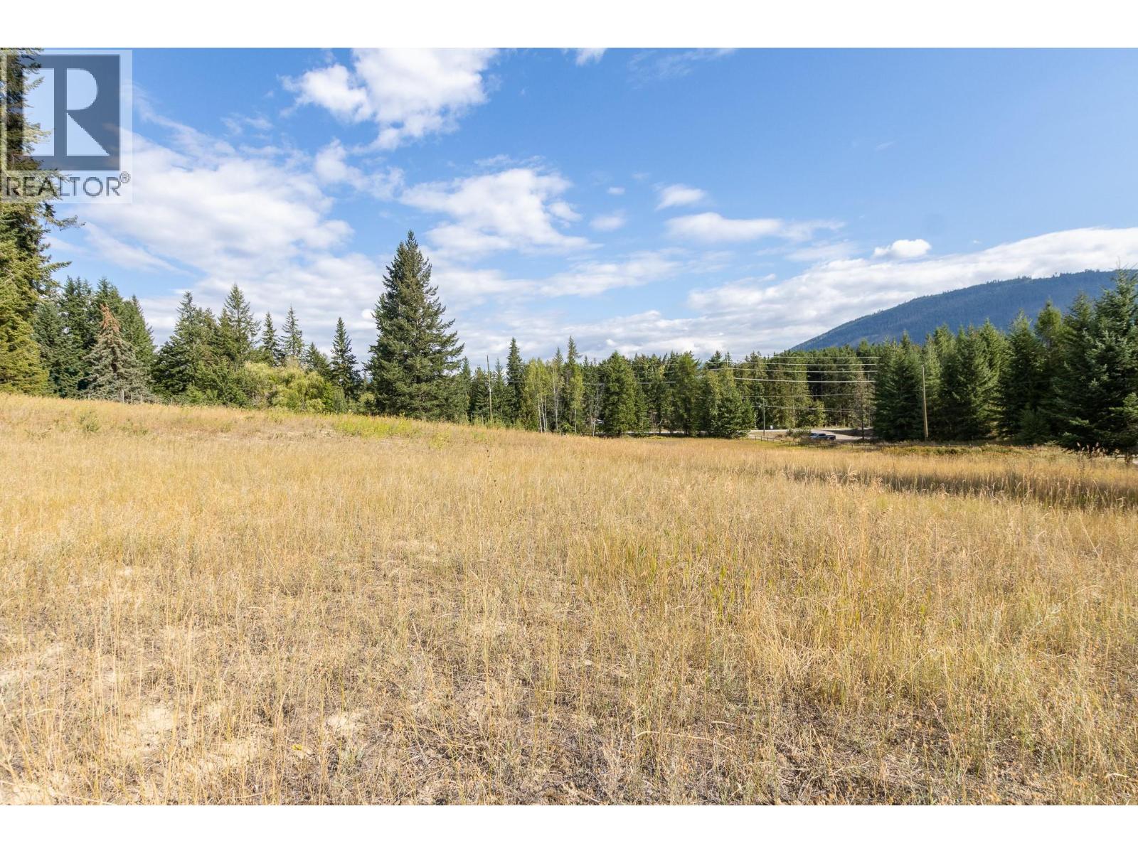 4270 10 Avenue, Salmon Arm, British Columbia  V1E 1W7 - Photo 12 - 10399302