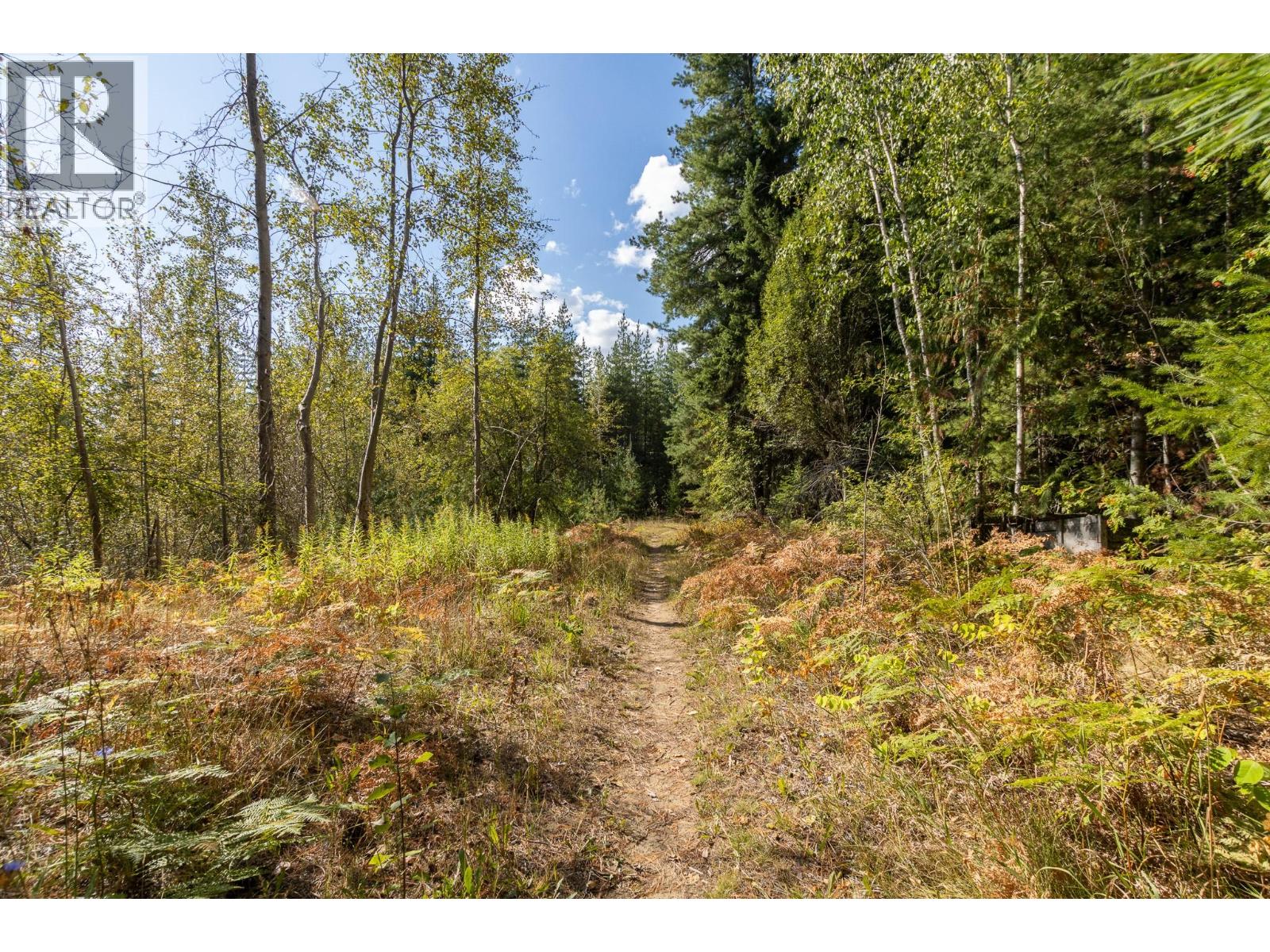 4270 10 Avenue, Salmon Arm, British Columbia  V1E 1W7 - Photo 15 - 10399302