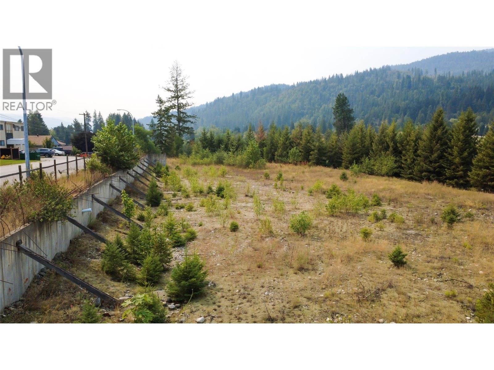 502 11th Avenue, Castlegar, British Columbia  V1N 1J5 - Photo 11 - 10397374