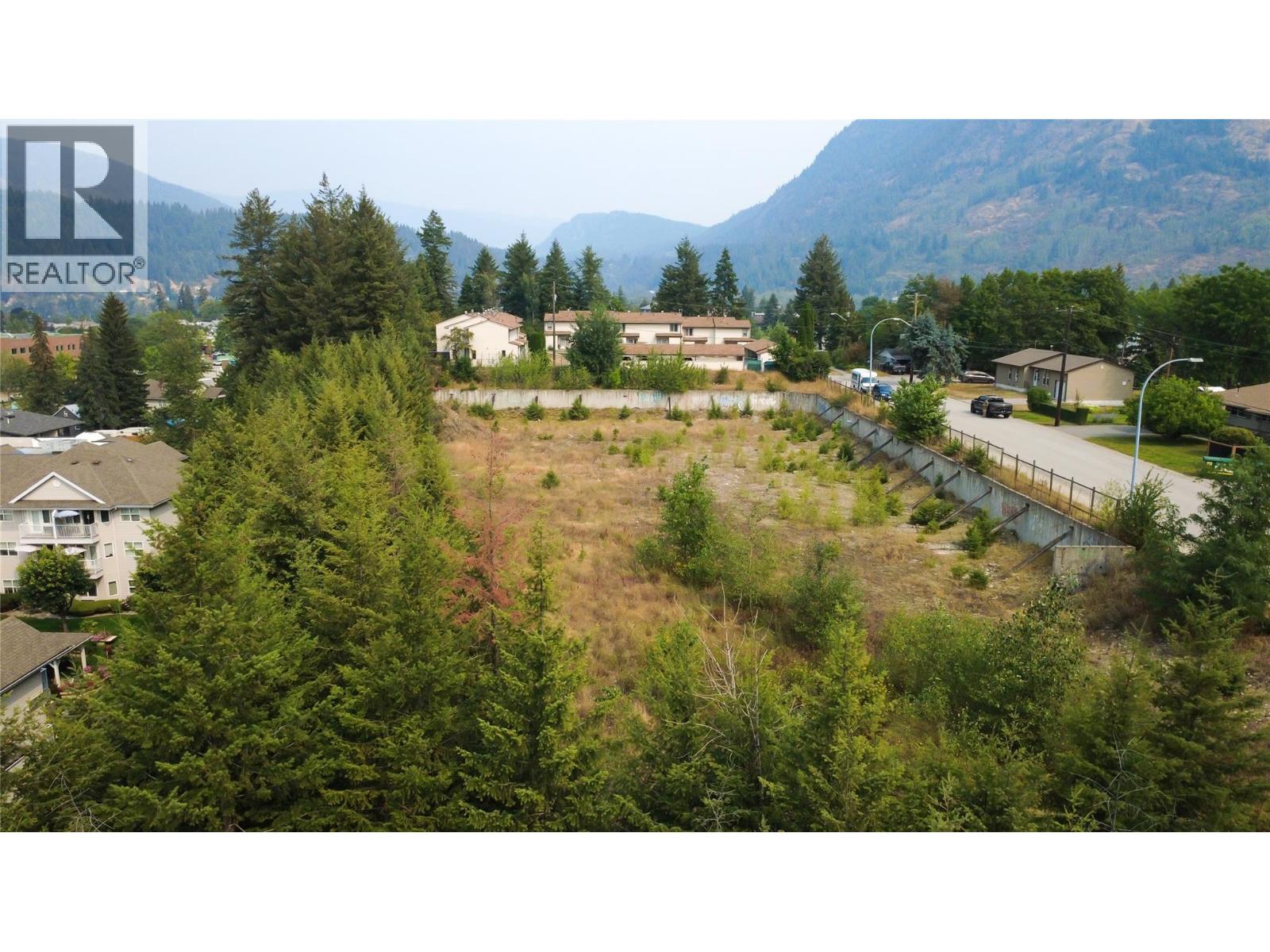 502 11th Avenue, Castlegar, British Columbia  V1N 1J5 - Photo 12 - 10397374