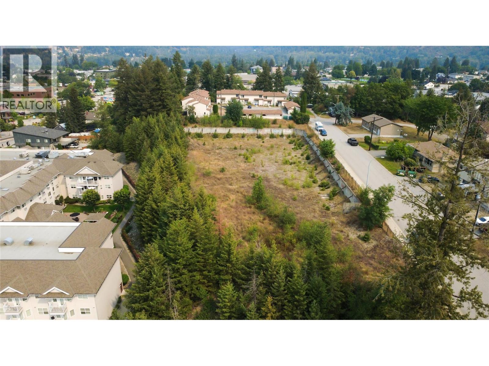 502 11th Avenue, Castlegar, British Columbia  V1N 1J5 - Photo 13 - 10397374