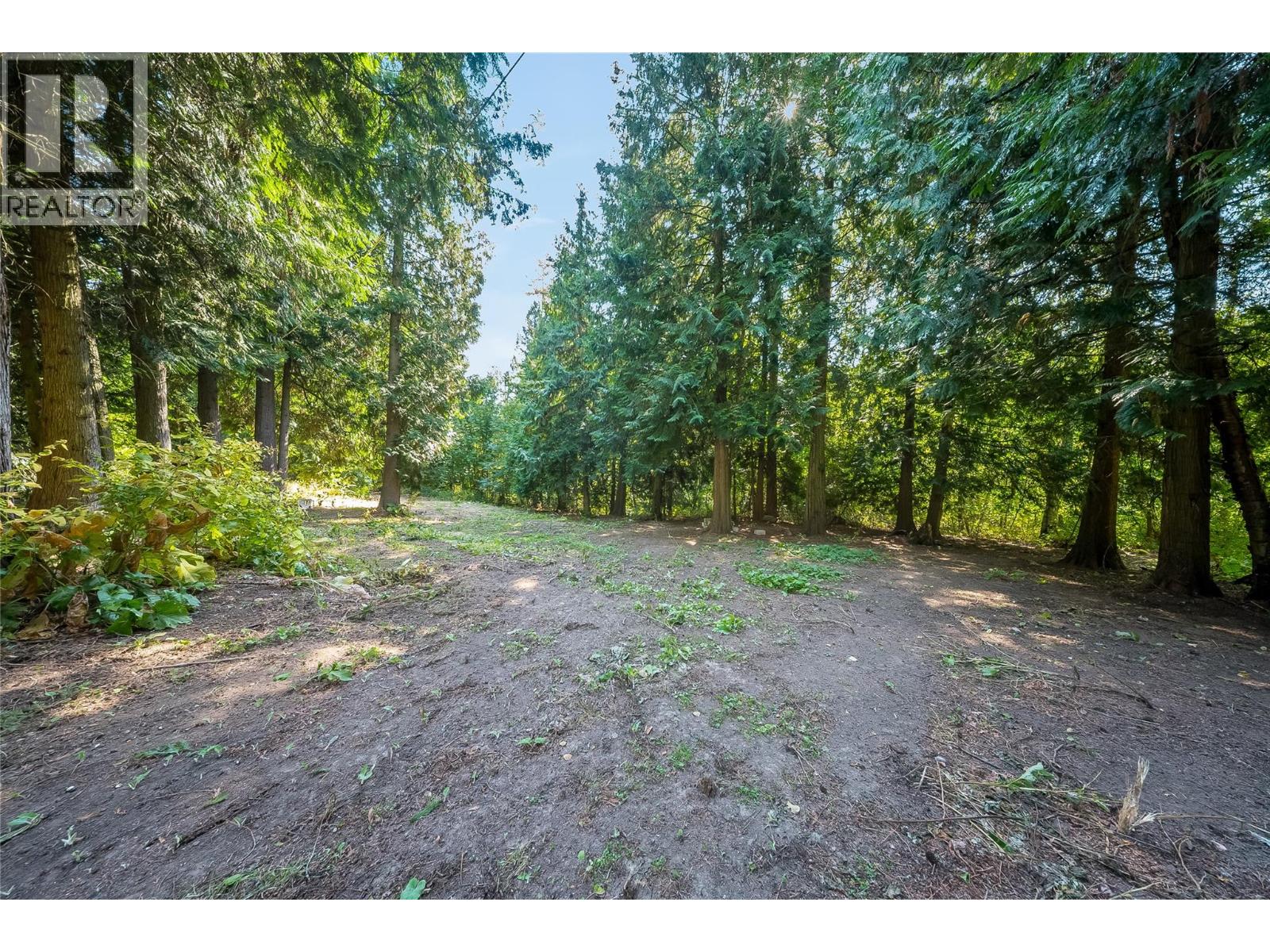 1048 Christie Road, Montrose, British Columbia  V0G 1P0 - Photo 42 - 10398908