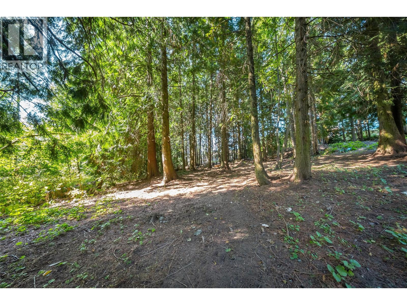 1048 Christie Road, Montrose, British Columbia  V0G 1P0 - Photo 44 - 10398908
