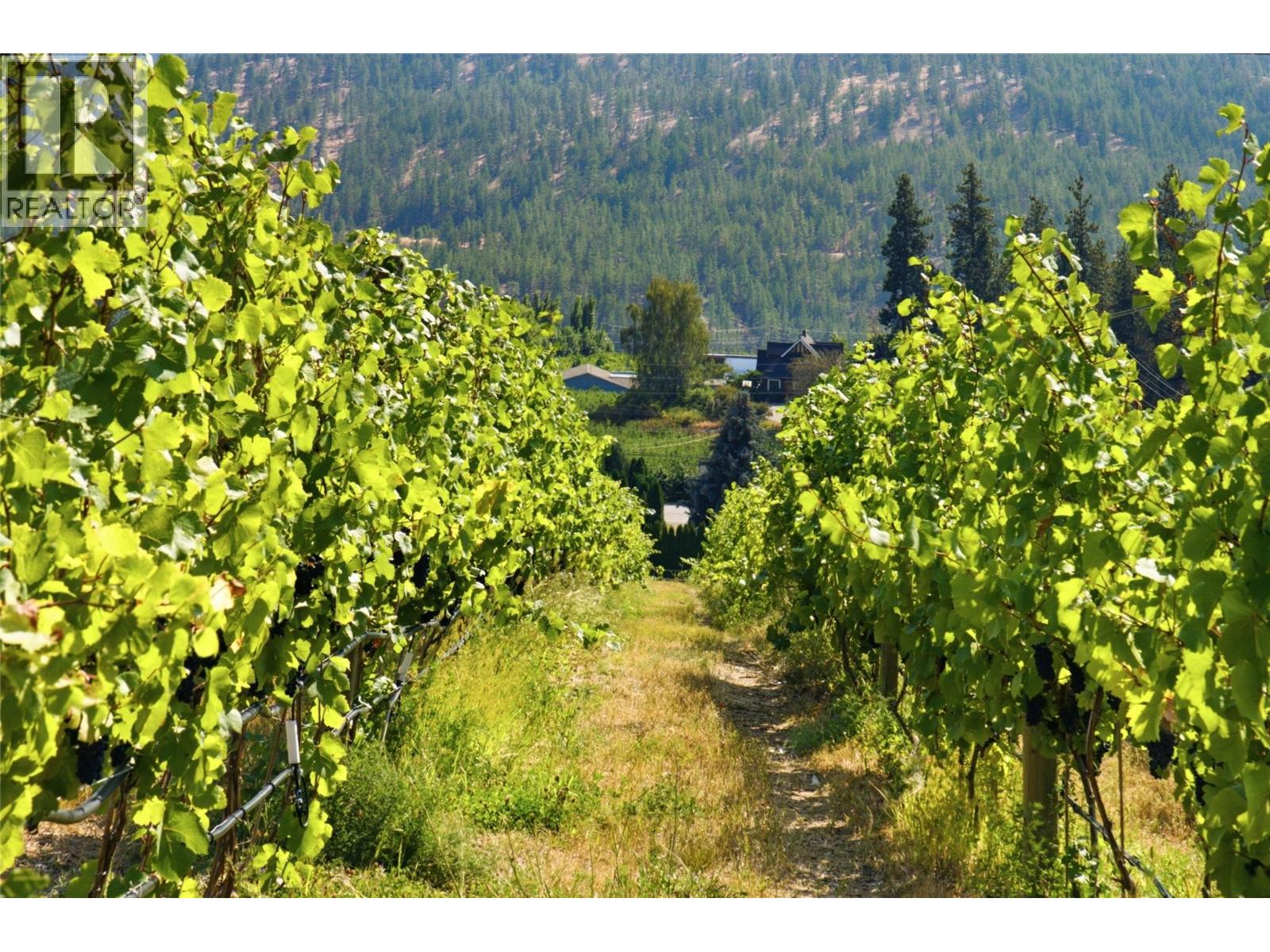 6007 Giants Head Road, Summerland, British Columbia  V0H 1Z7 - Photo 6 - 10399371